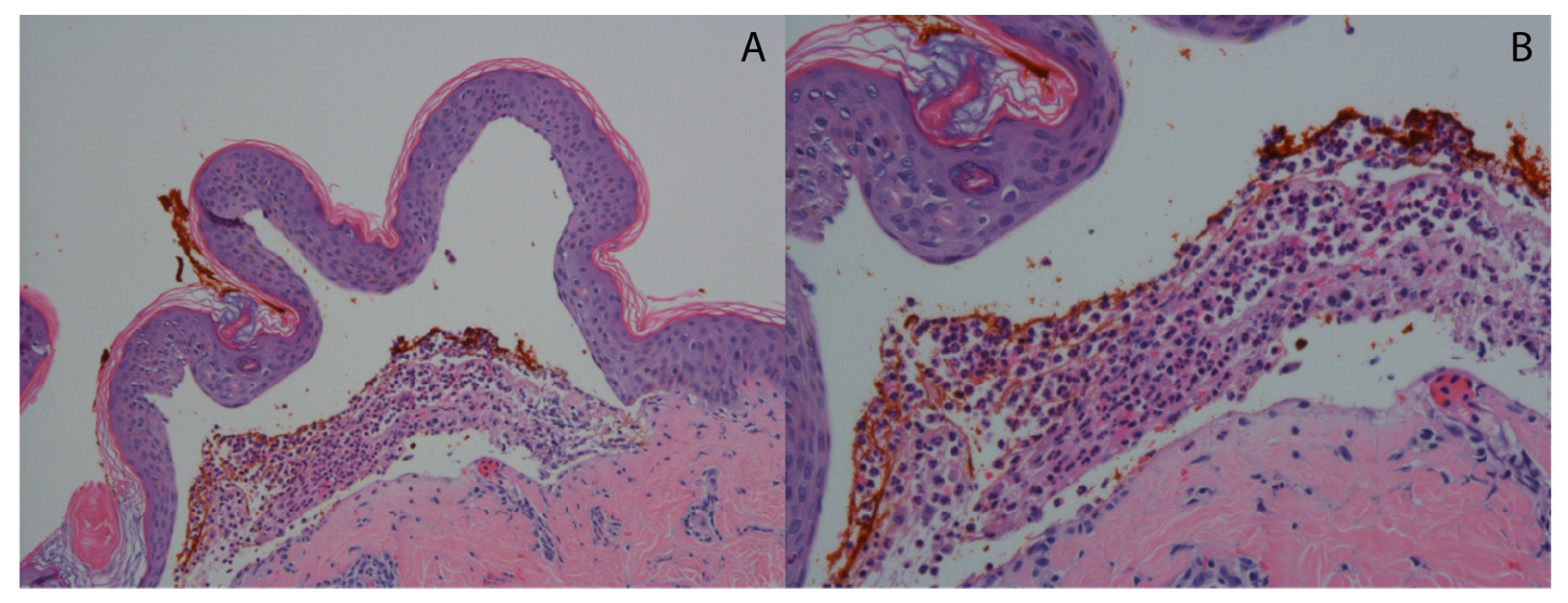 Medicina 57 00843 g002 Medicina 57 00843 g002