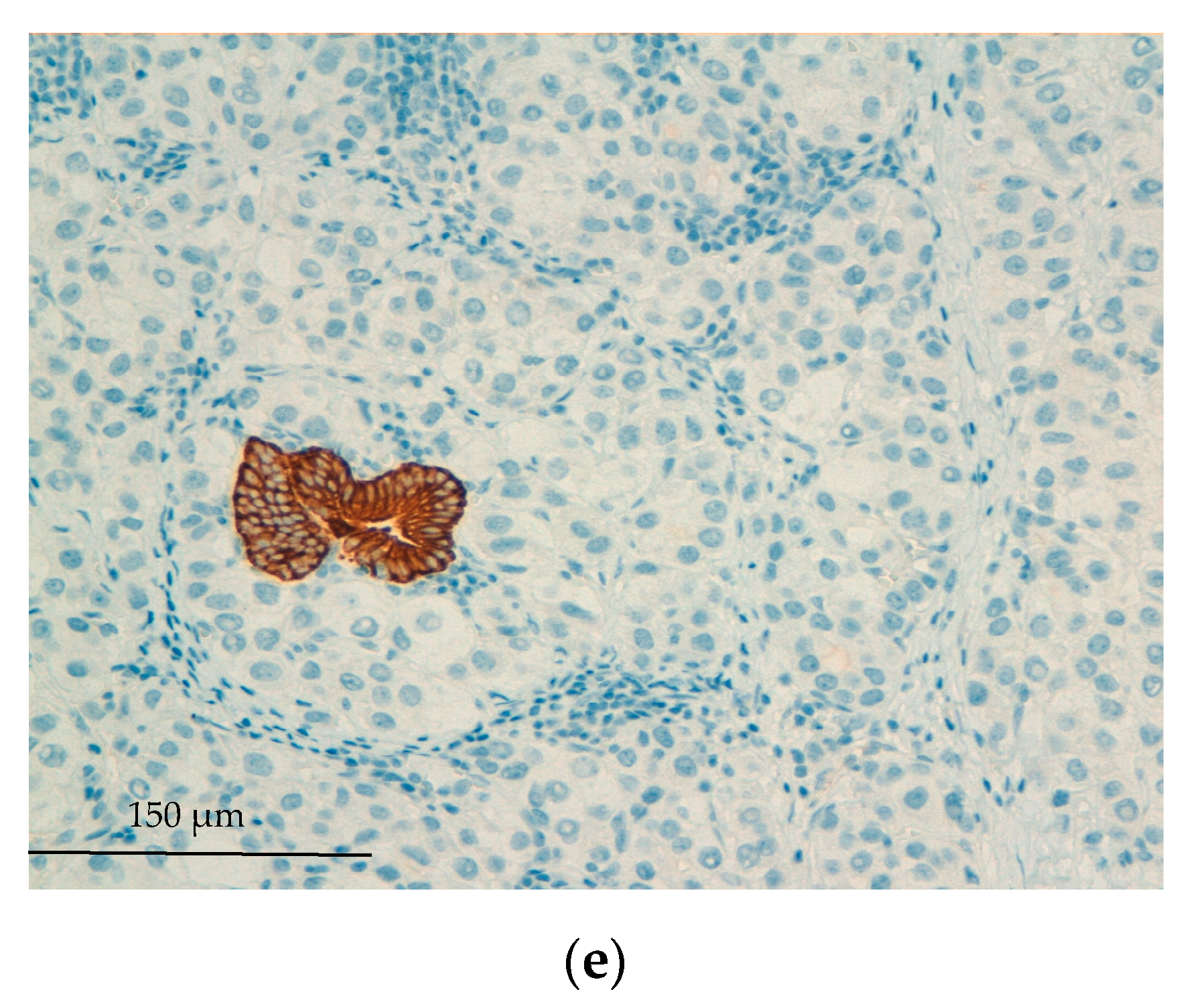 Medicina 57 00850 g003b Medicina 57 00850 g003b