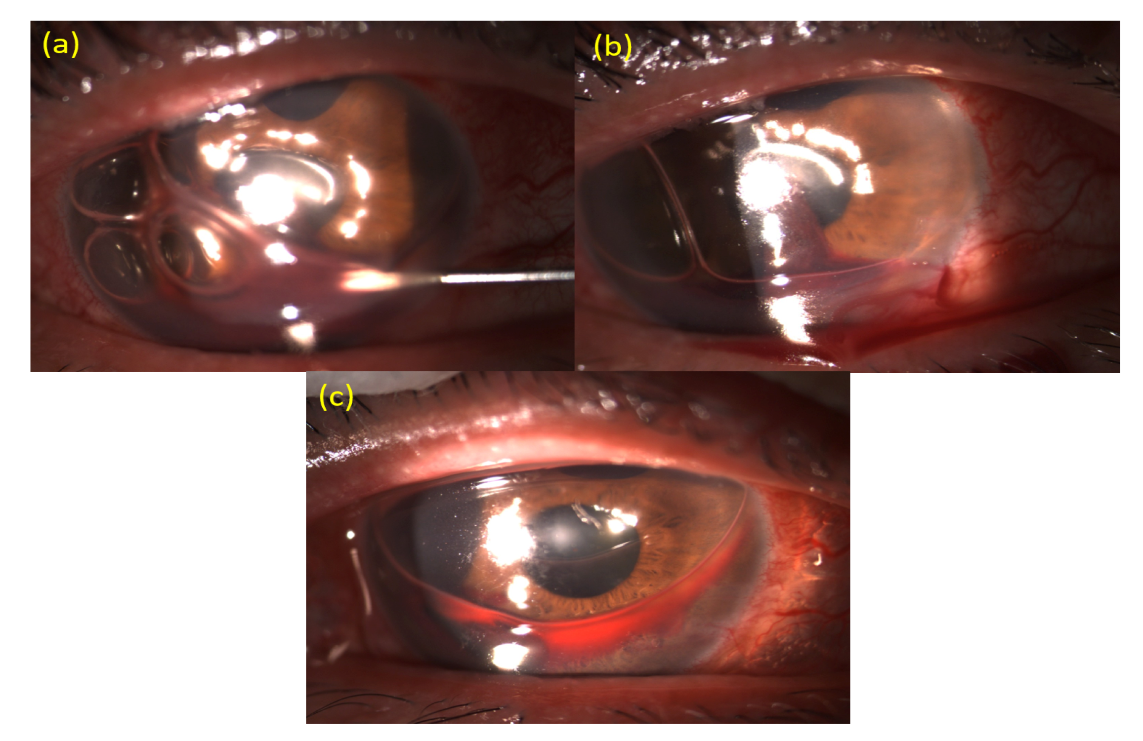 Medicina 57 00855 g002