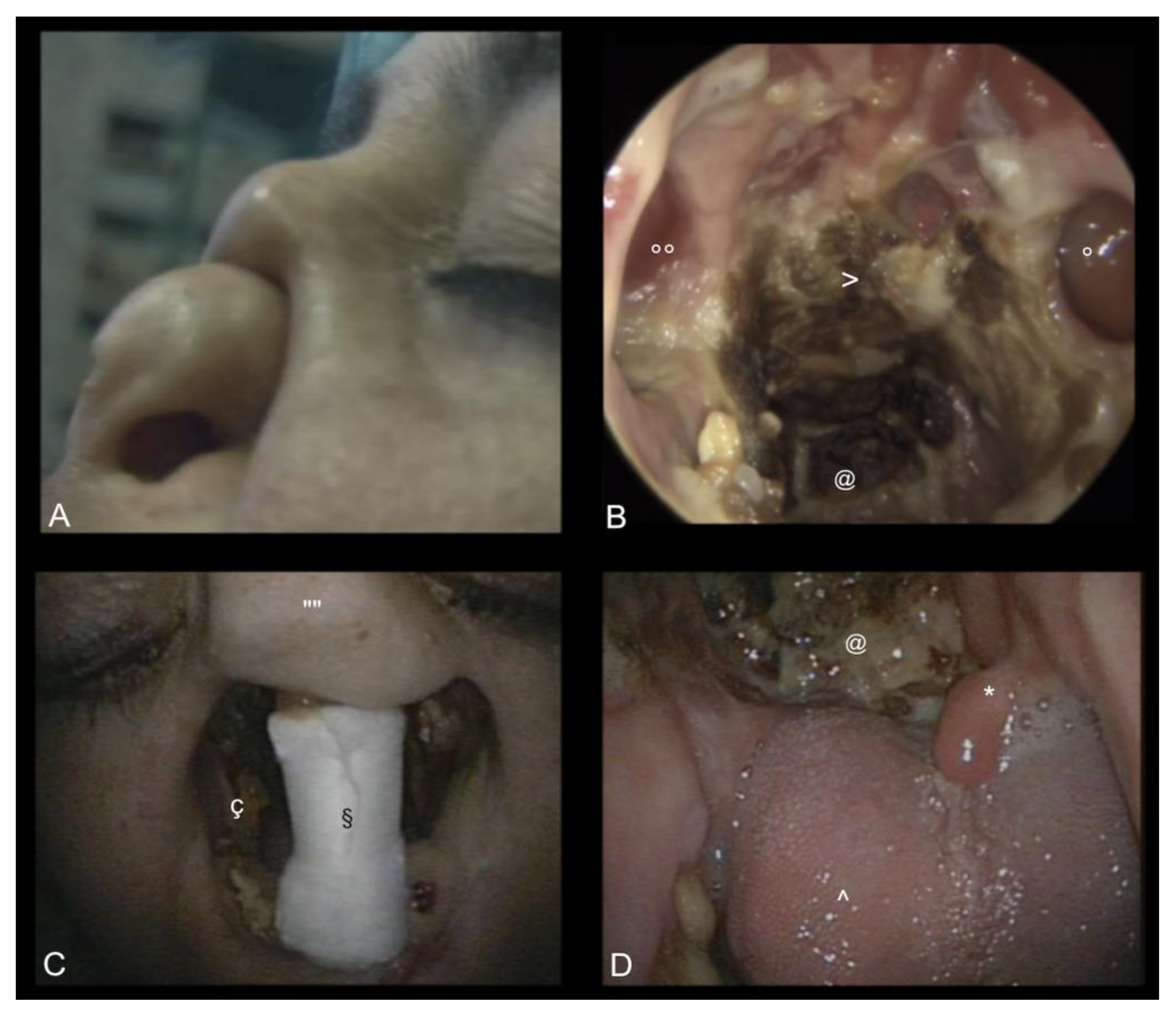 Medicina 57 00861 g001