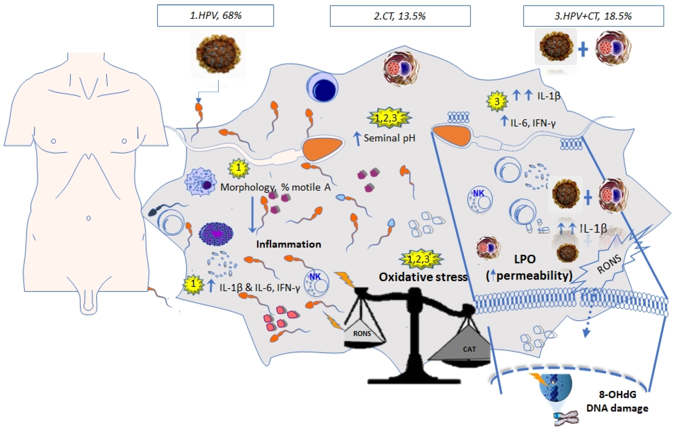 Medicina 57 00862 g002 Medicina 57 00862 g002