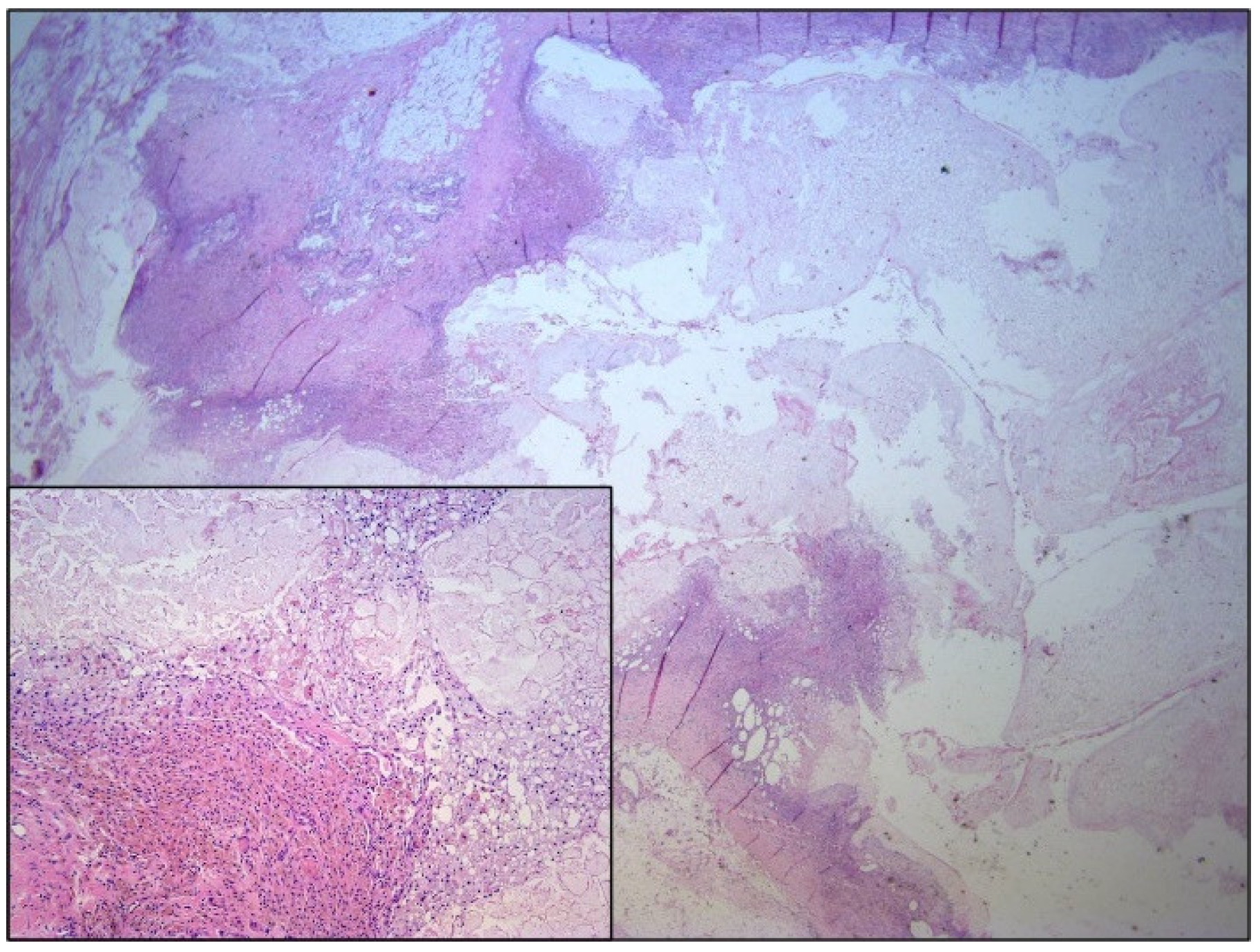 Medicina 57 00865 g004 550