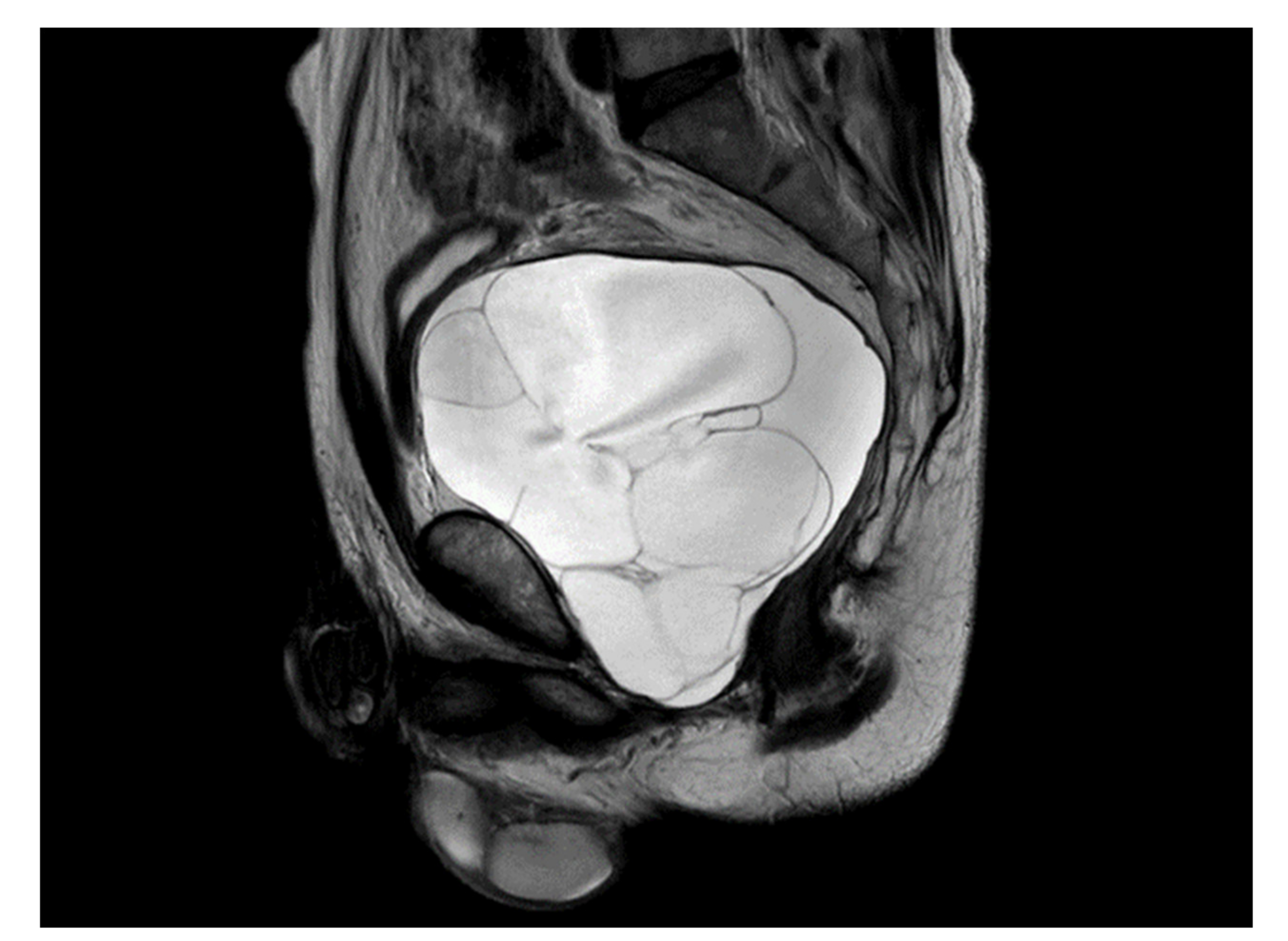Medicina 57 00870 g001