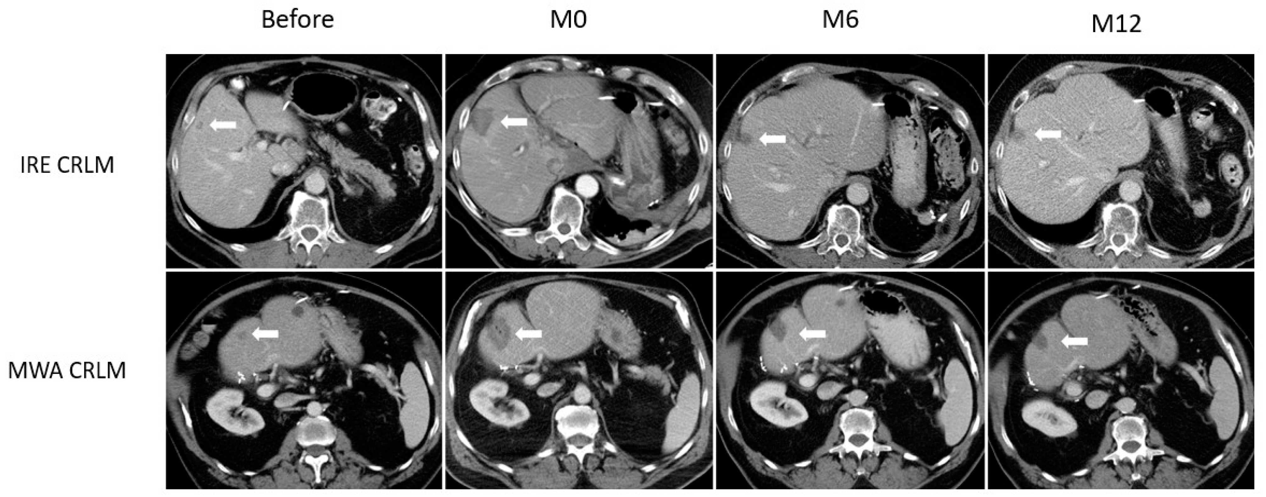 Medicina 57 00877 g001 550