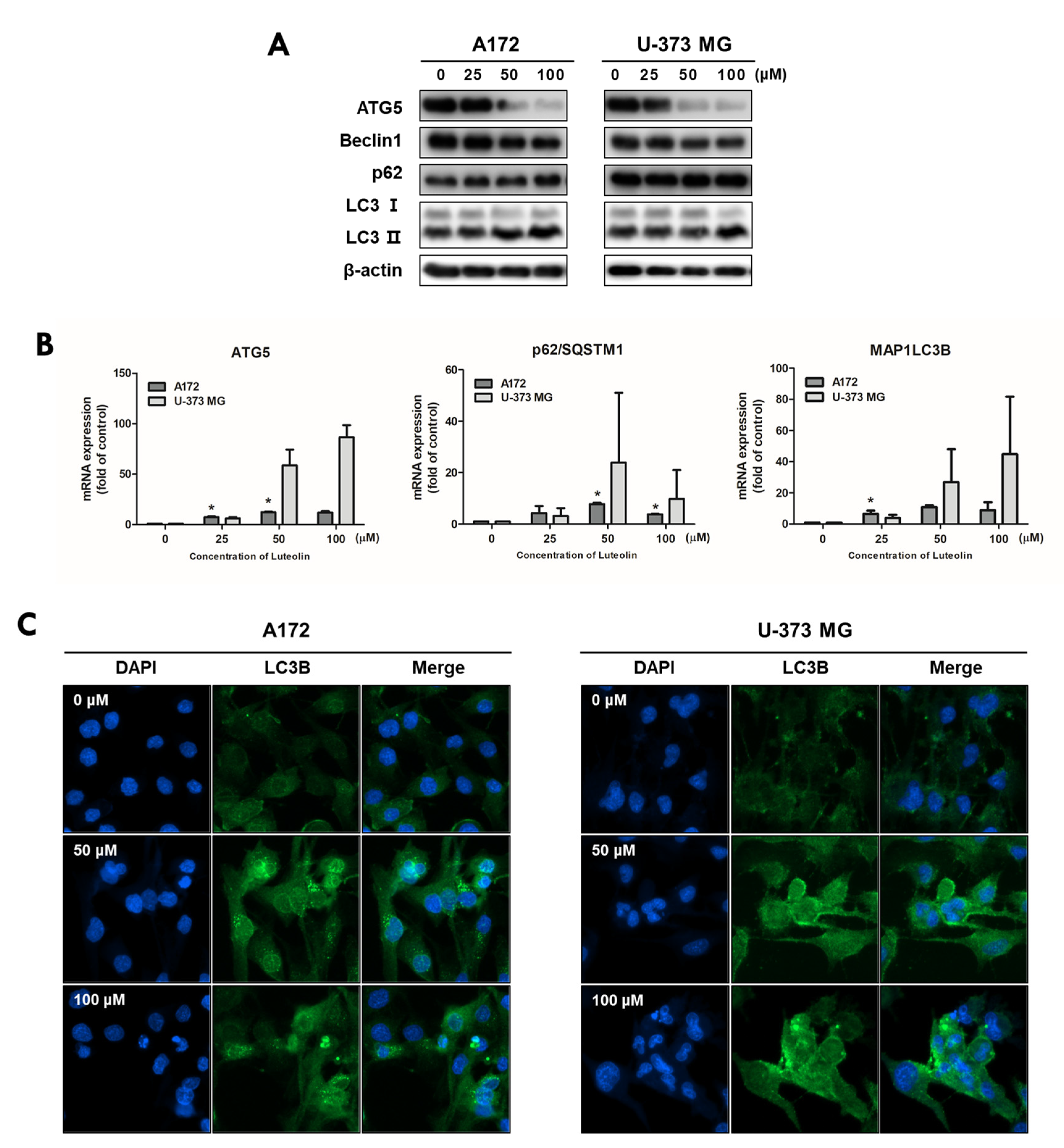 Medicina 57 00879 g005
