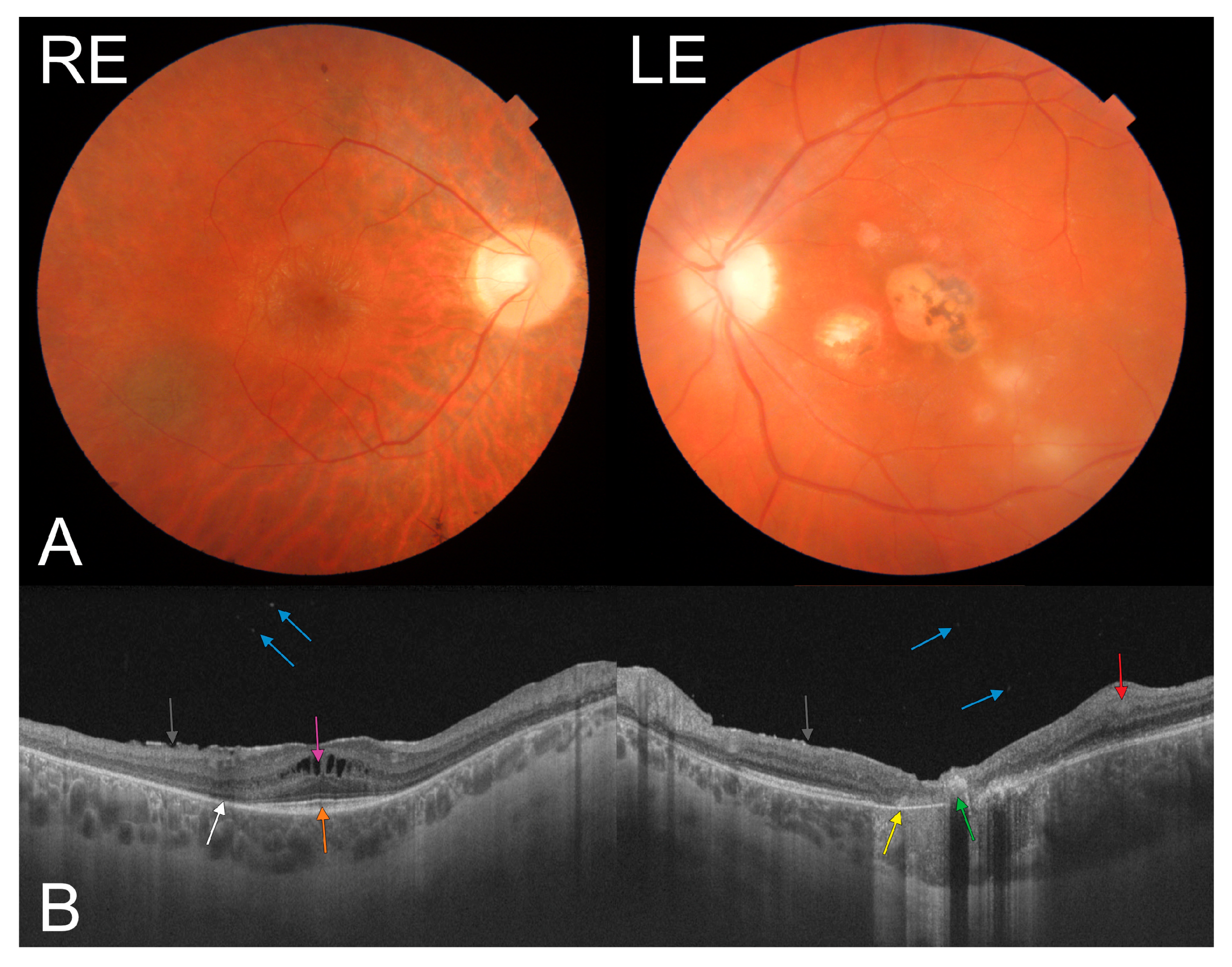 Medicina 57 00892 g002 550
