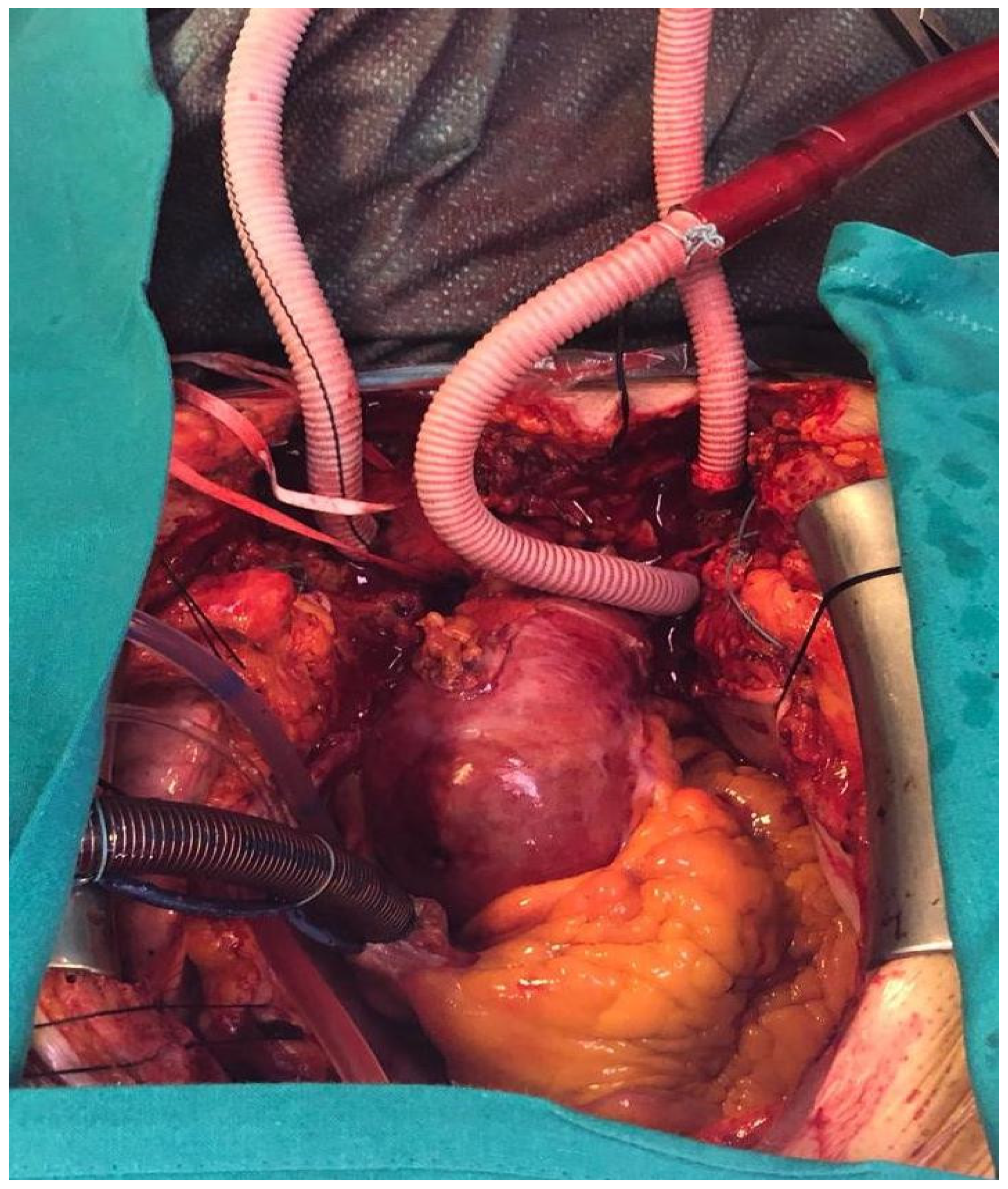 Medicina 57 00894 g001