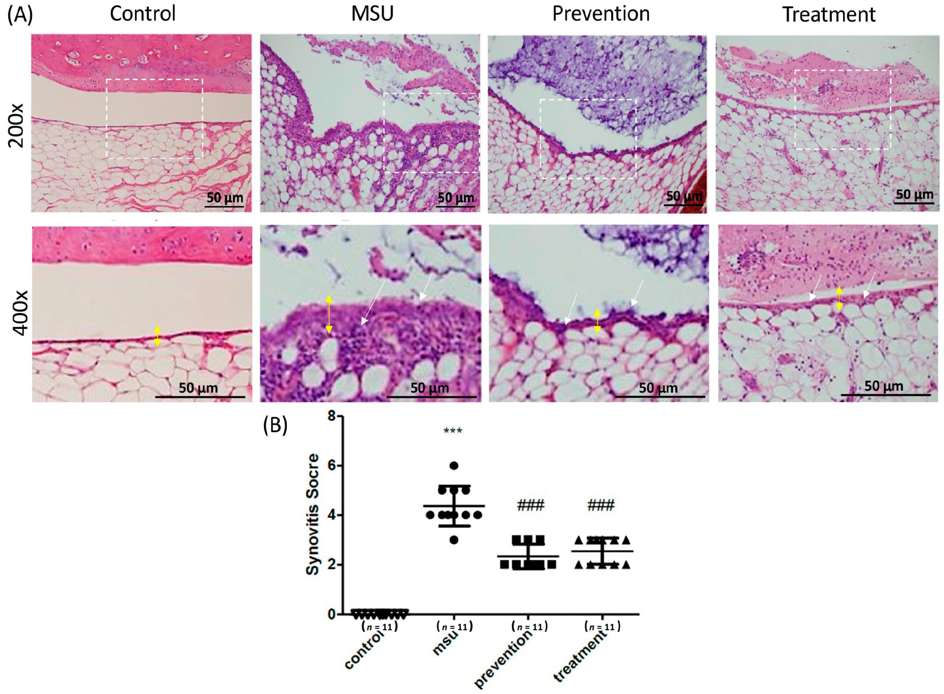 Medicina 57 00898 g004 550
