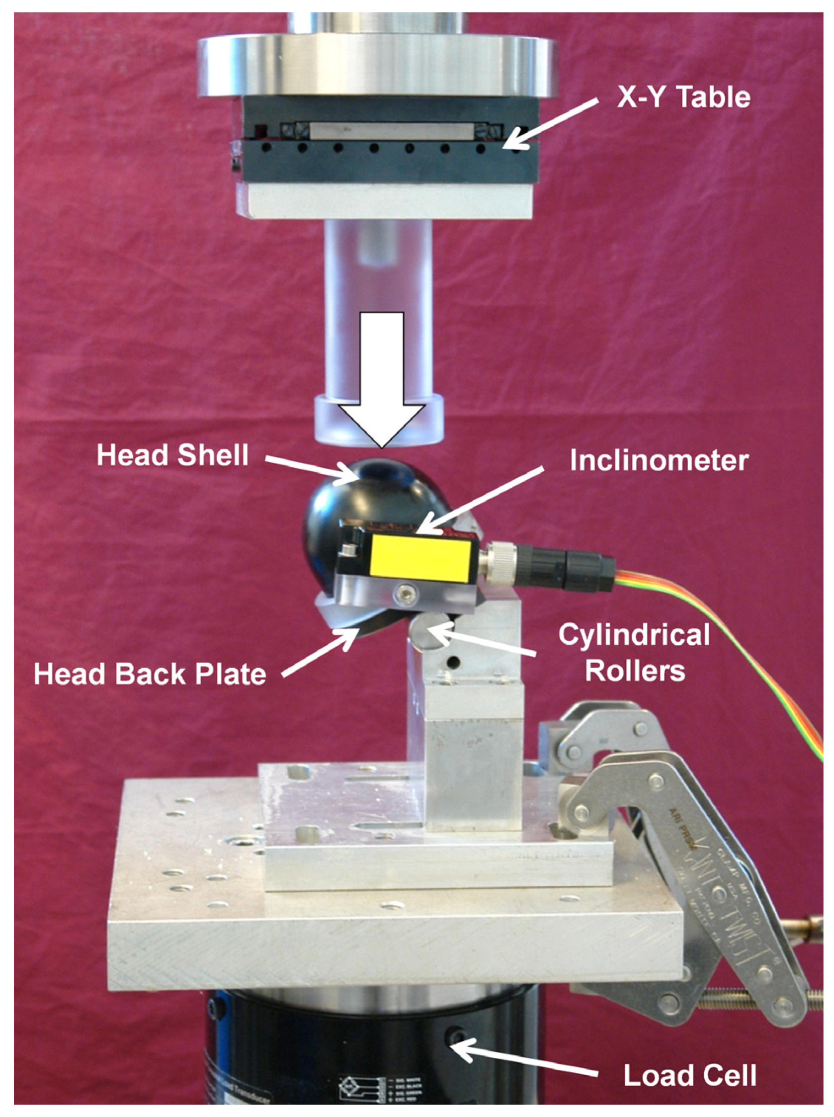 Medicina 57 00899 g003 Medicina 57 00899 g003