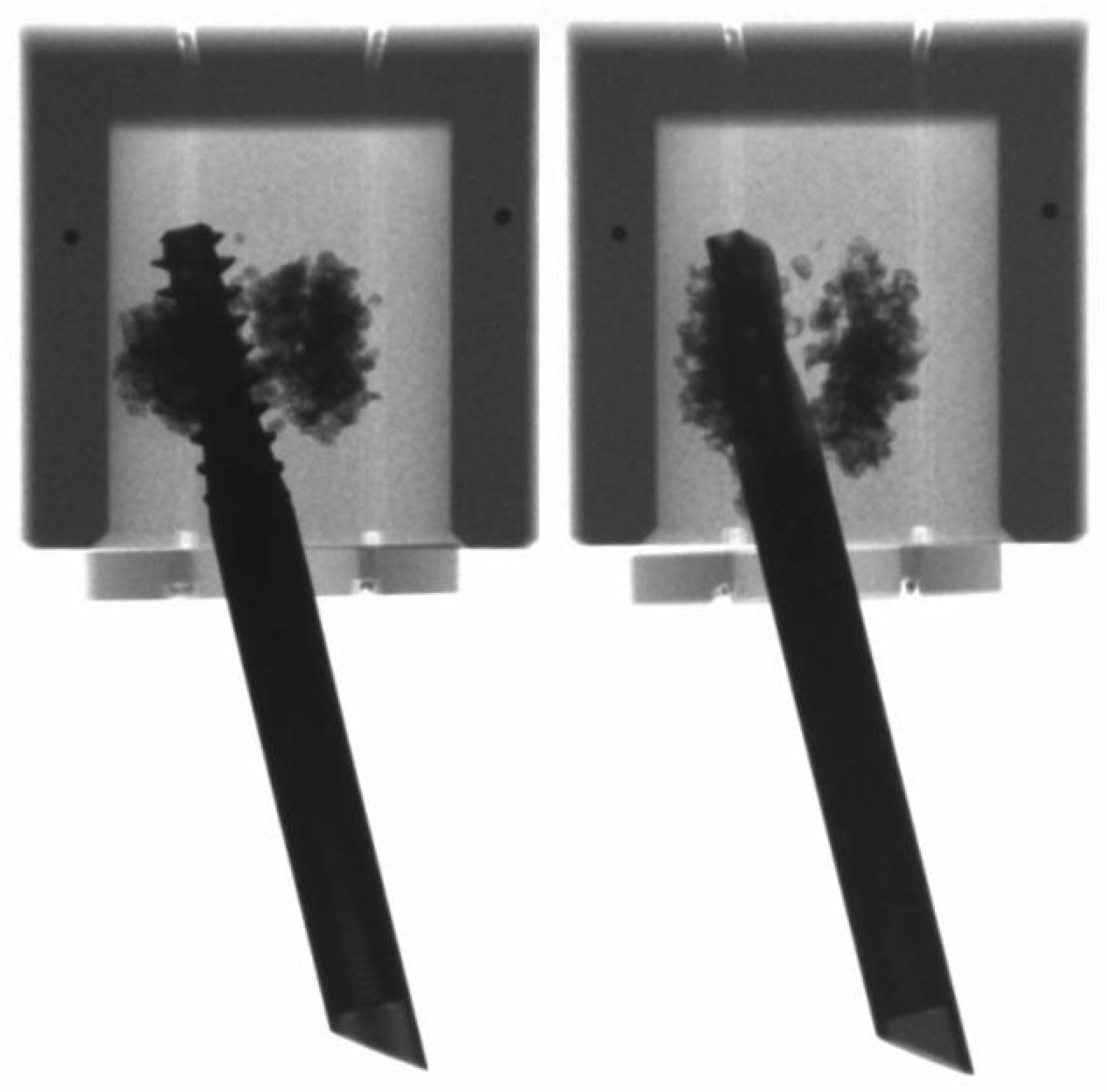 Medicina 57 00899 g007 Medicina 57 00899 g007