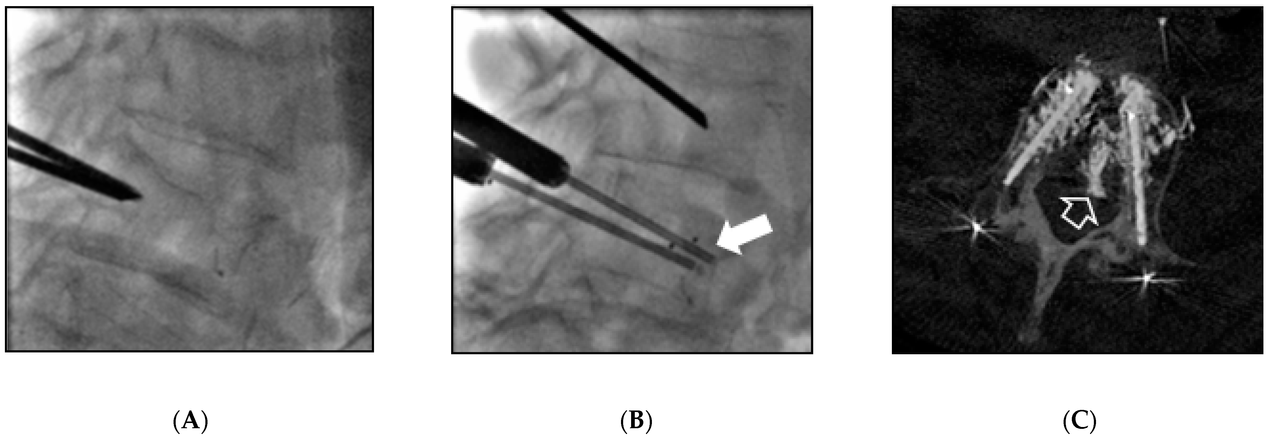 Medicina 57 00907 g002