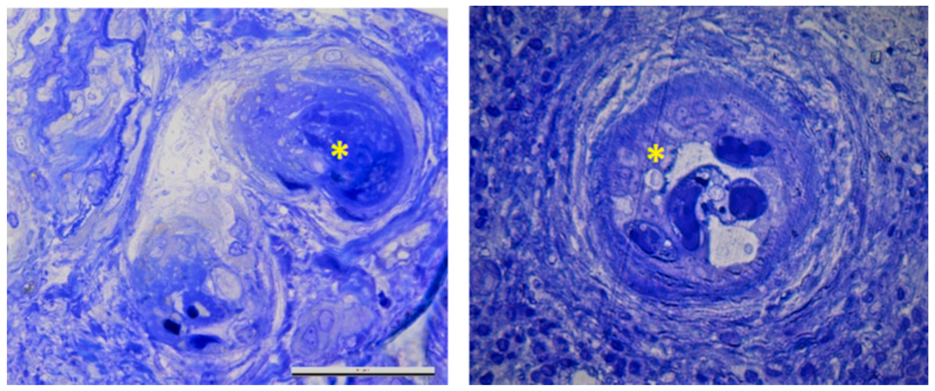 Medicina 57 00912 g003