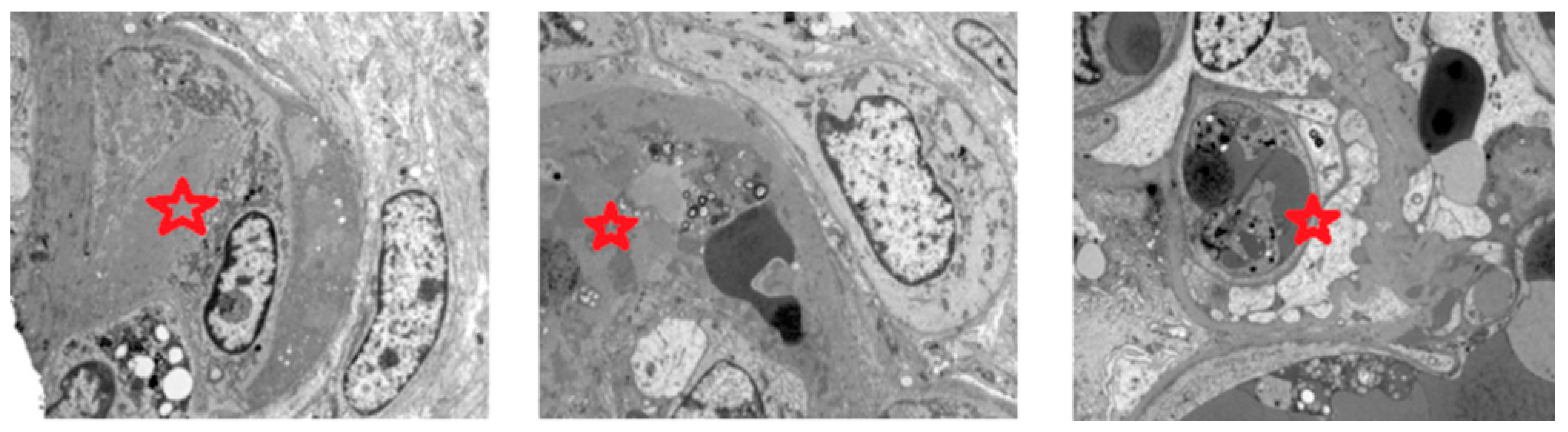 Medicina 57 00912 g004