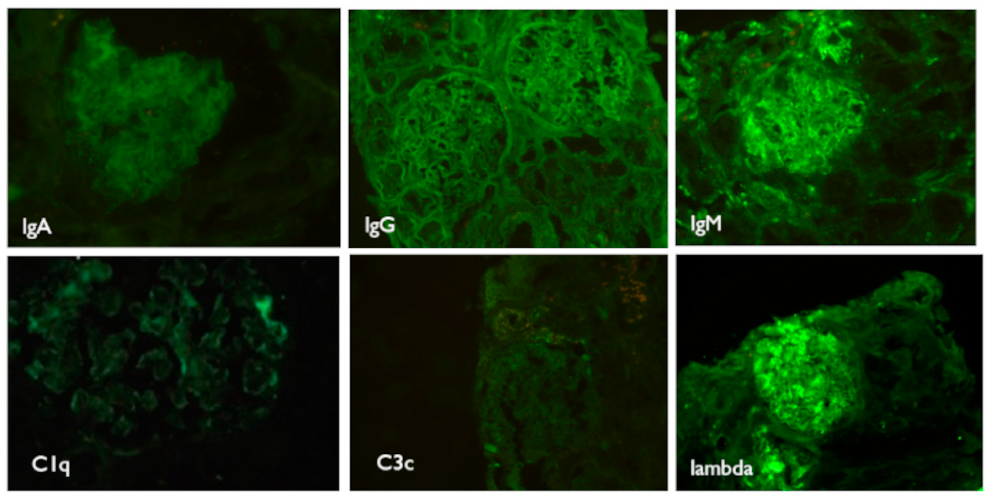 Medicina 57 00912 g005