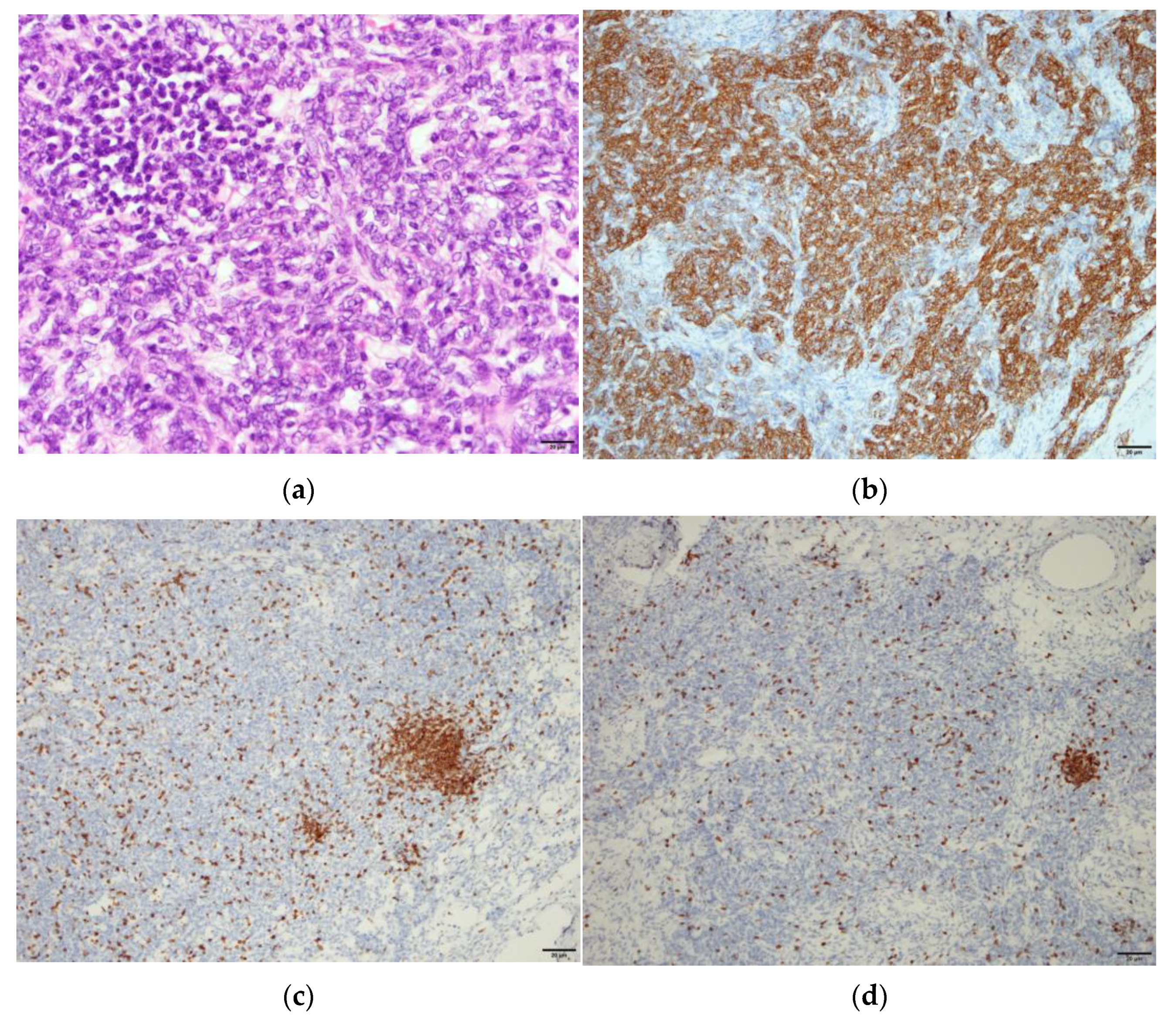 Medicina 57 00932 g005 550