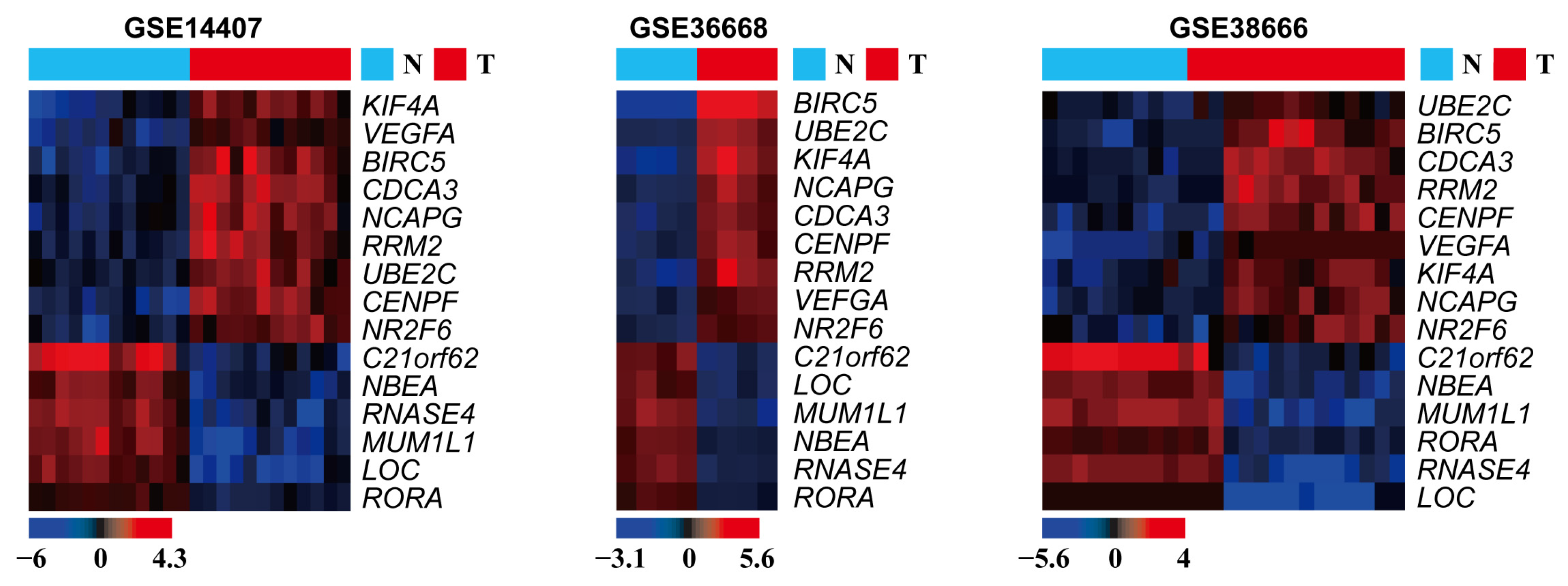 Medicina 57 00933 g002 550