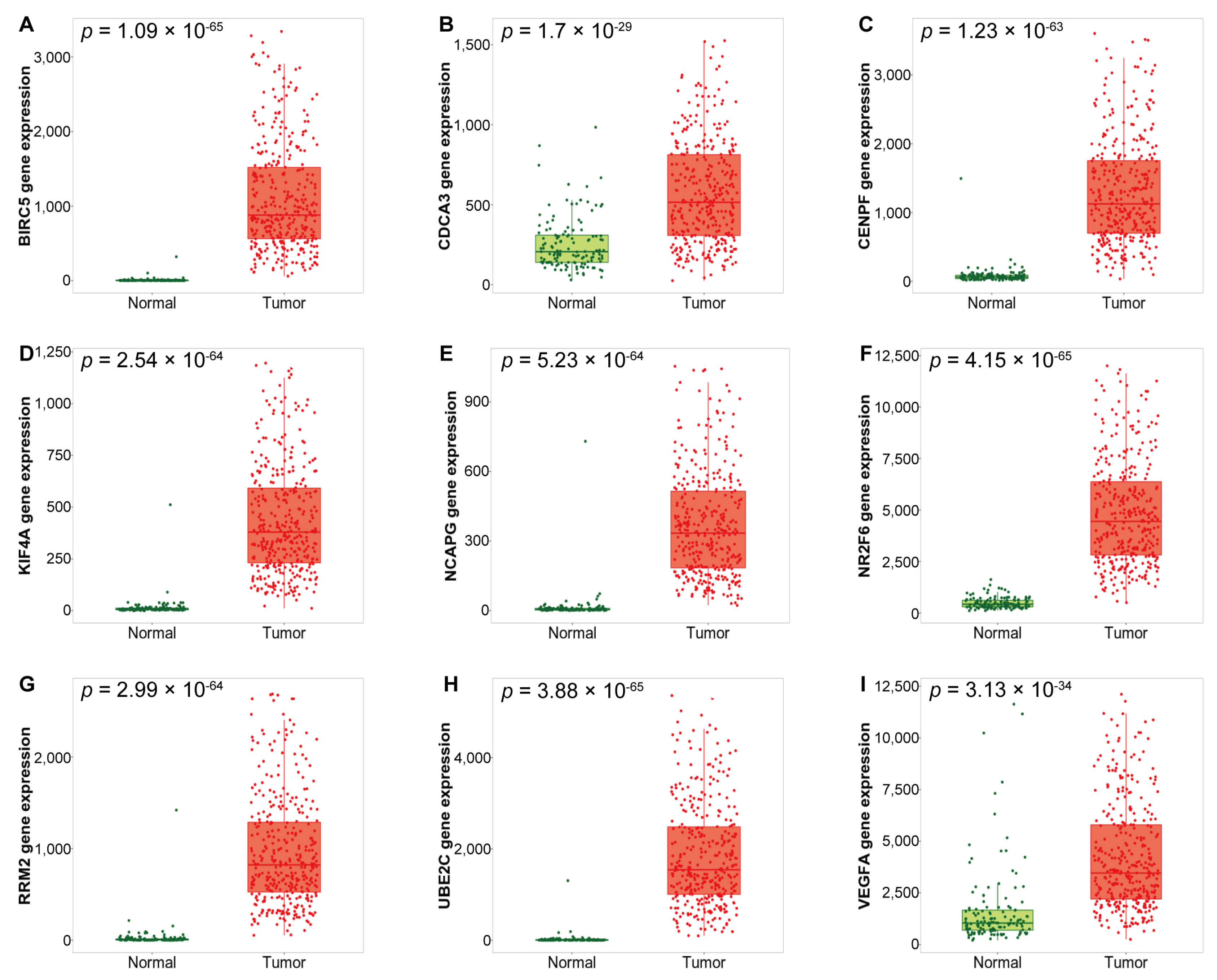 Medicina 57 00933 g003 550
