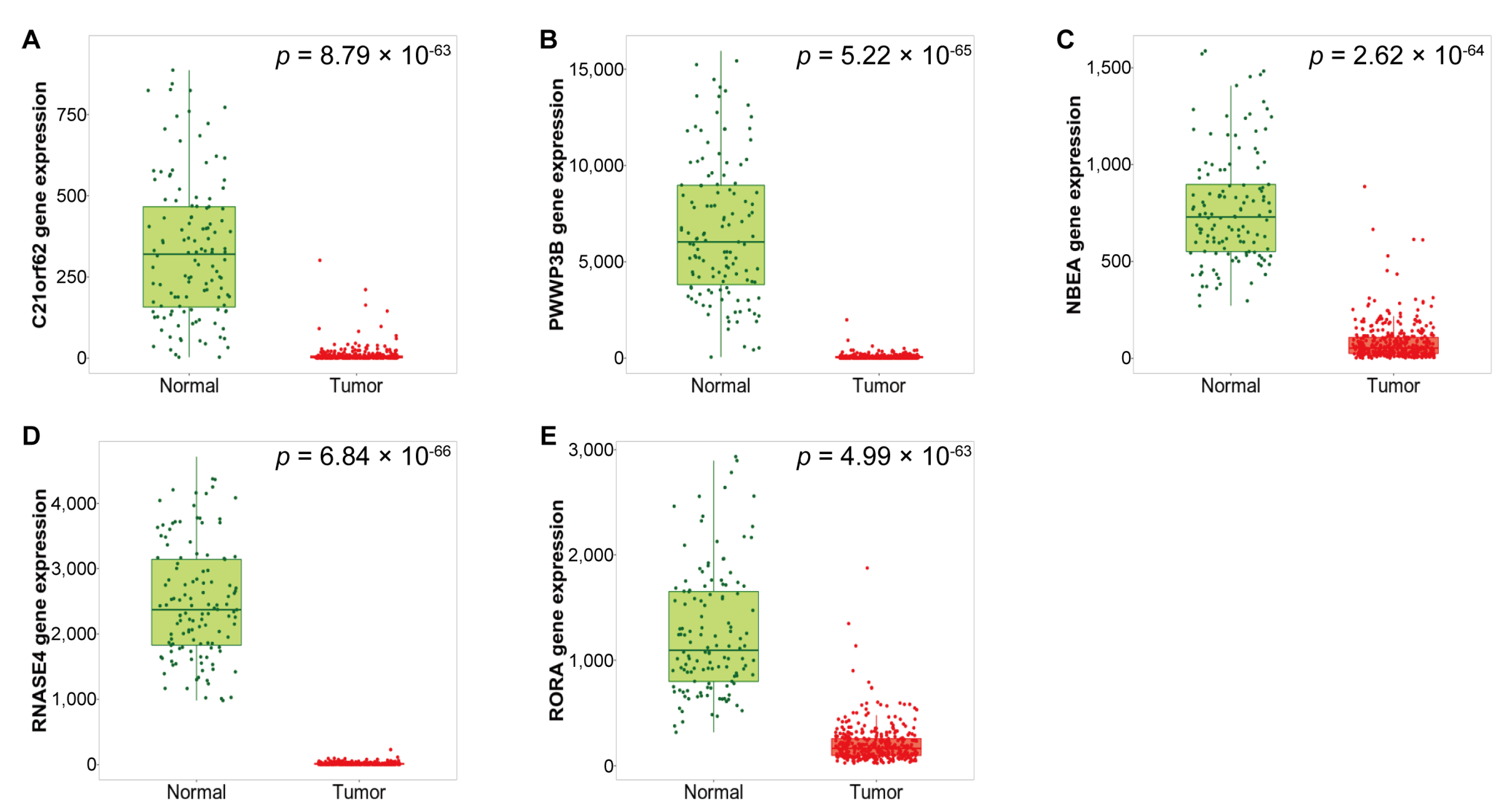 Medicina 57 00933 g004 550
