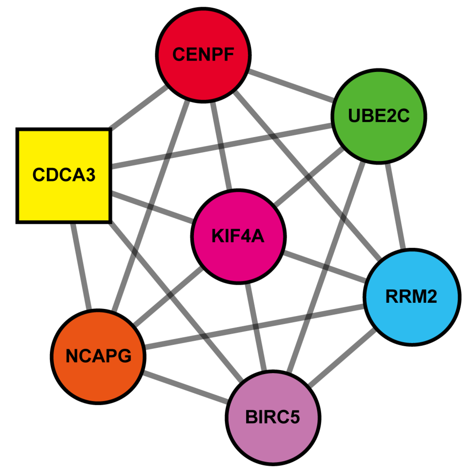 Medicina 57 00933 g005 550
