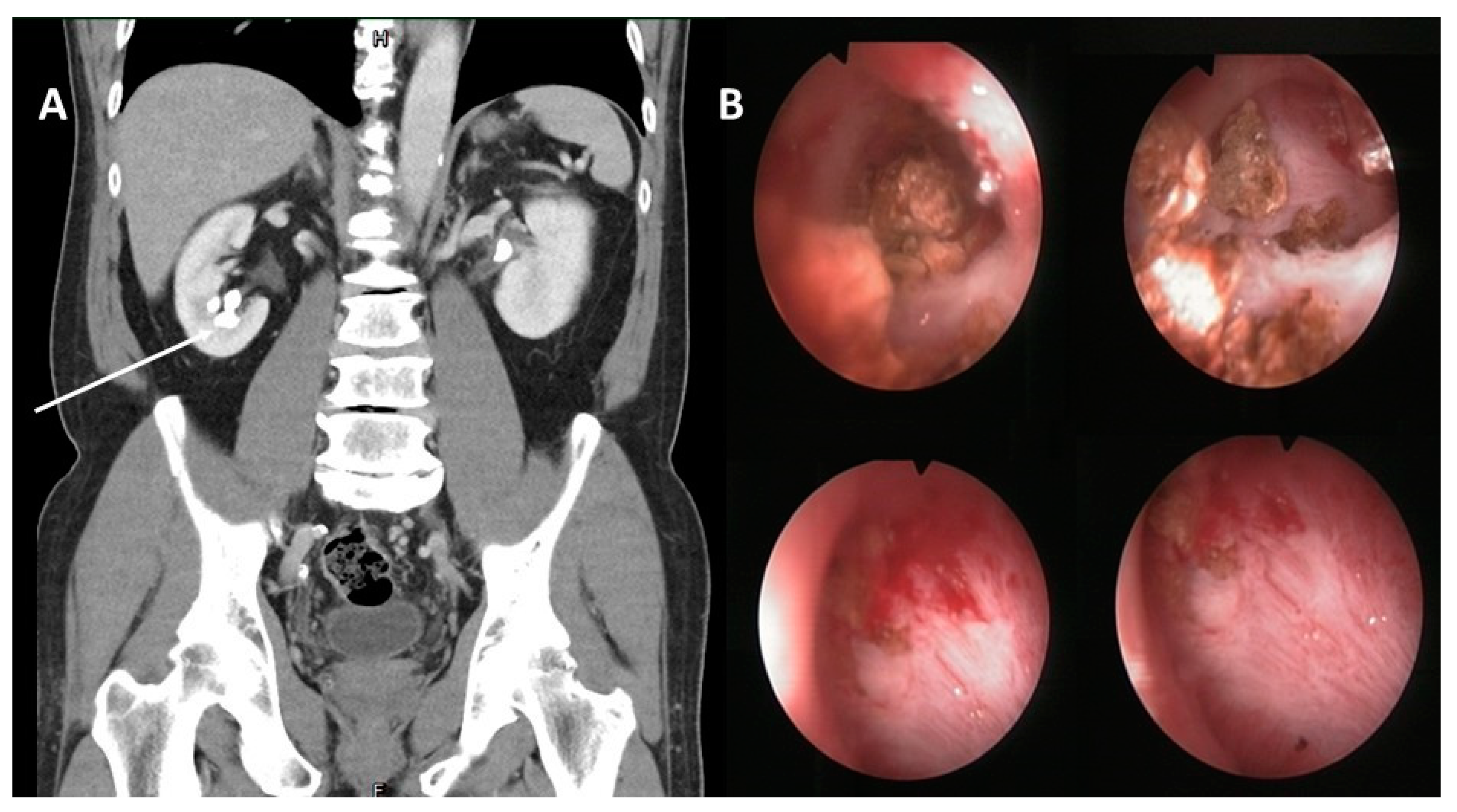 Medicina 57 00939 g001
