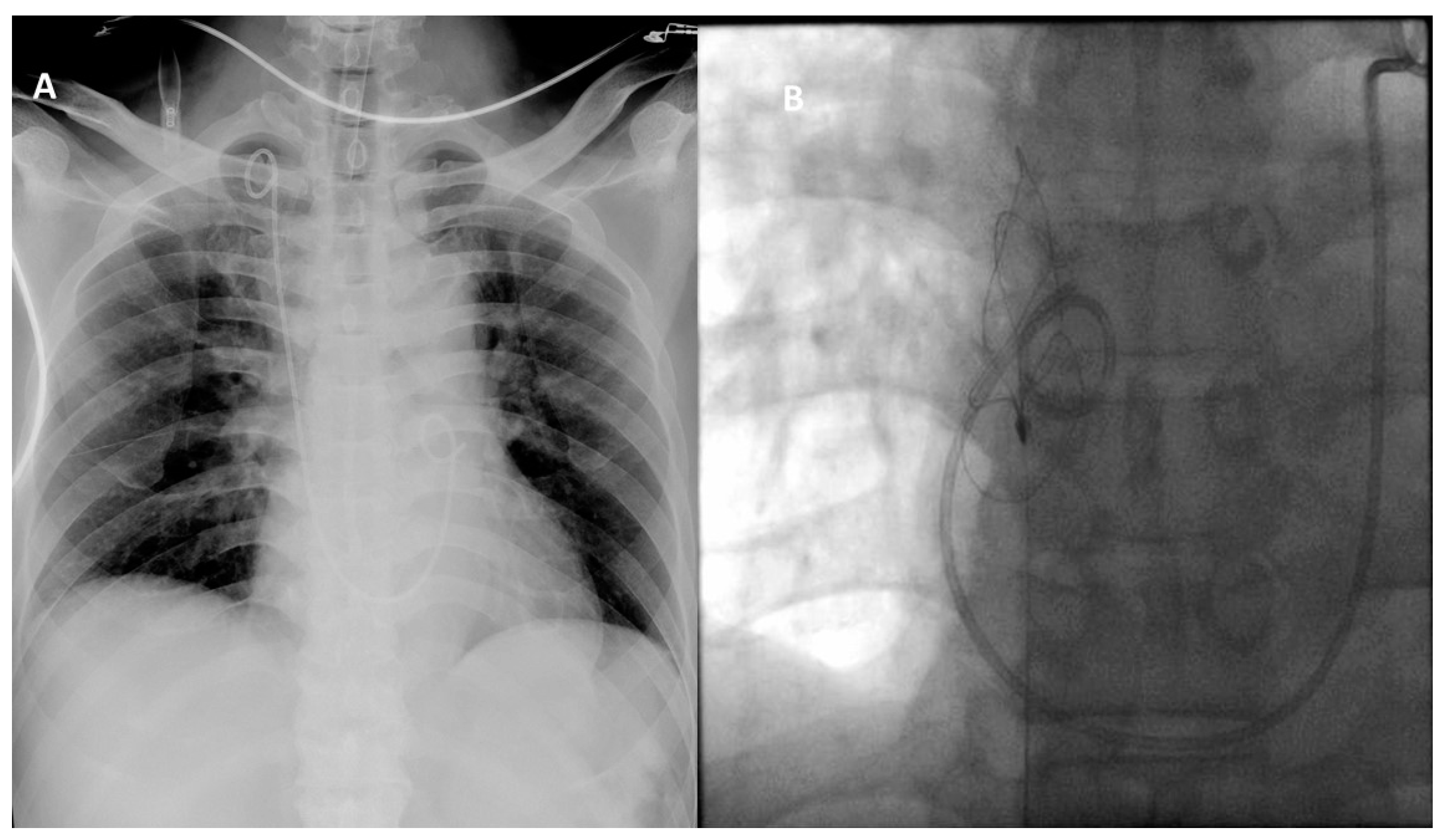 Medicina 57 00939 g002