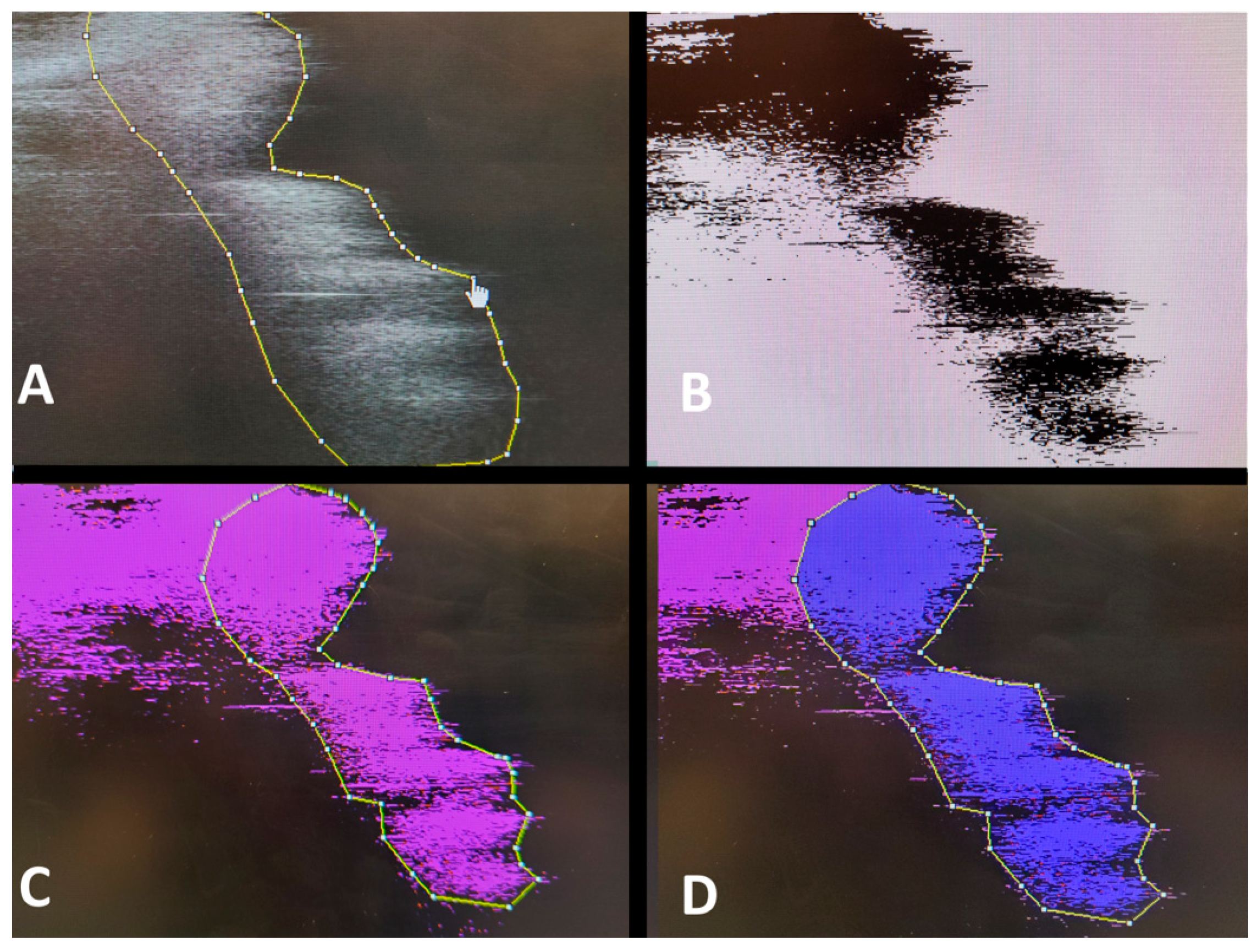 Medicina 57 00940 g004 550