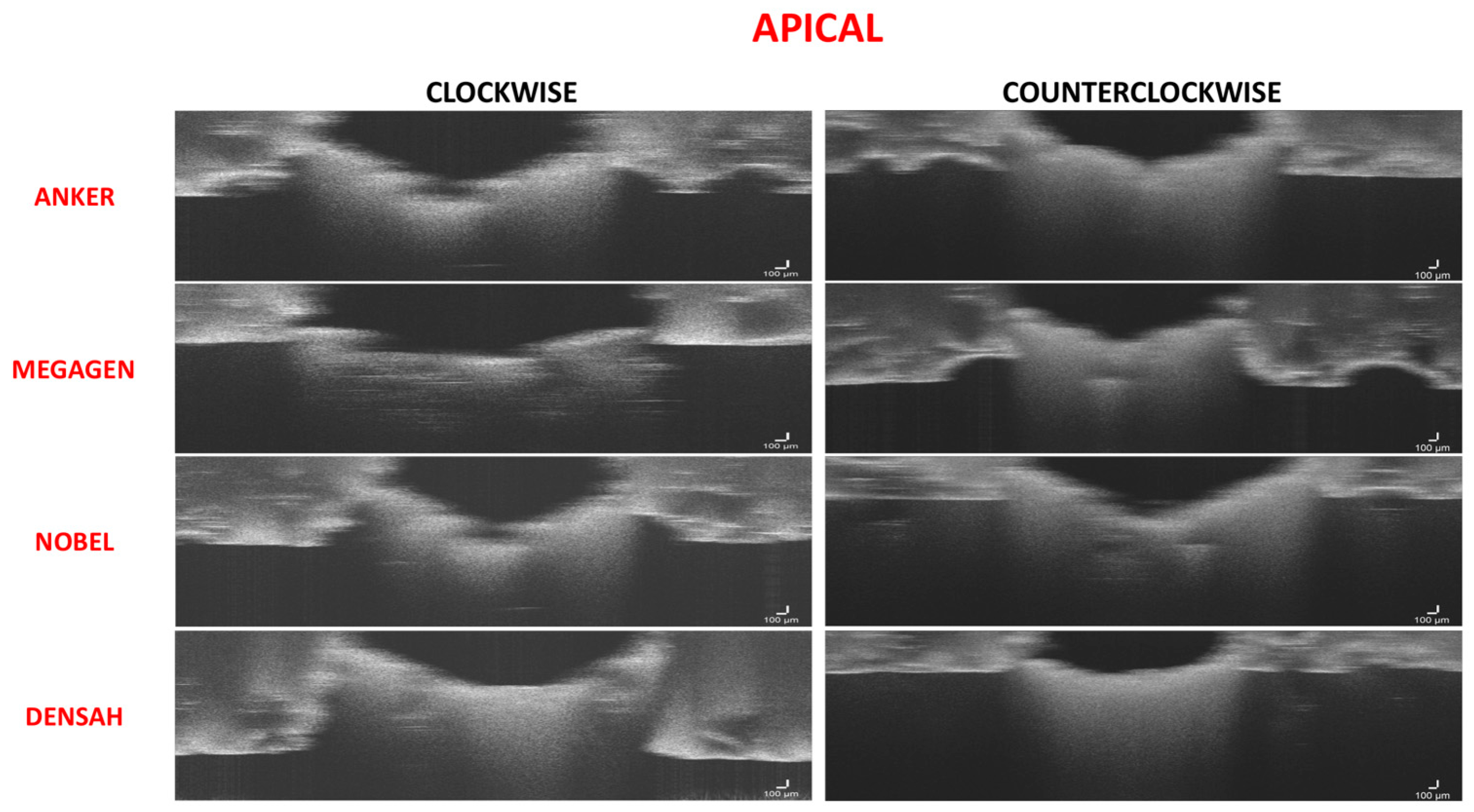 Medicina 57 00940 g010 550