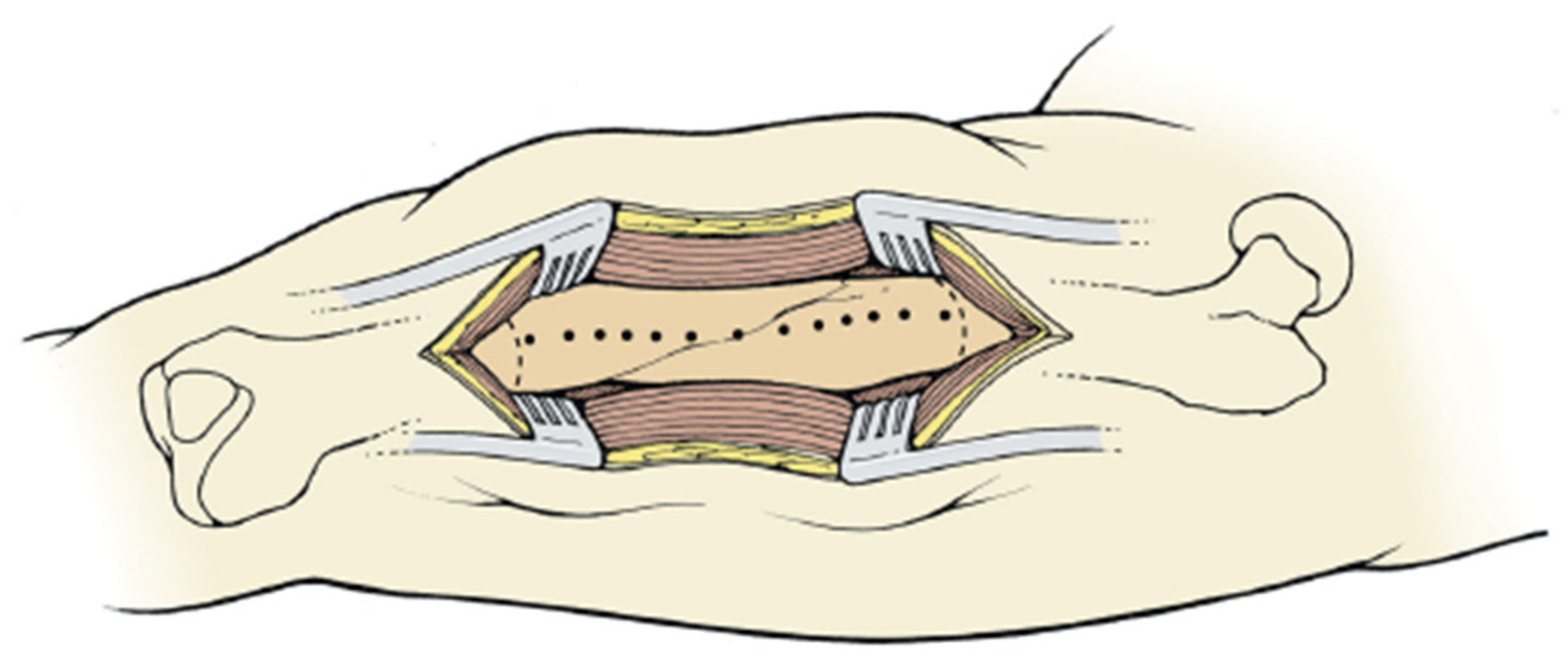 Medicina 57 00951 g001 550