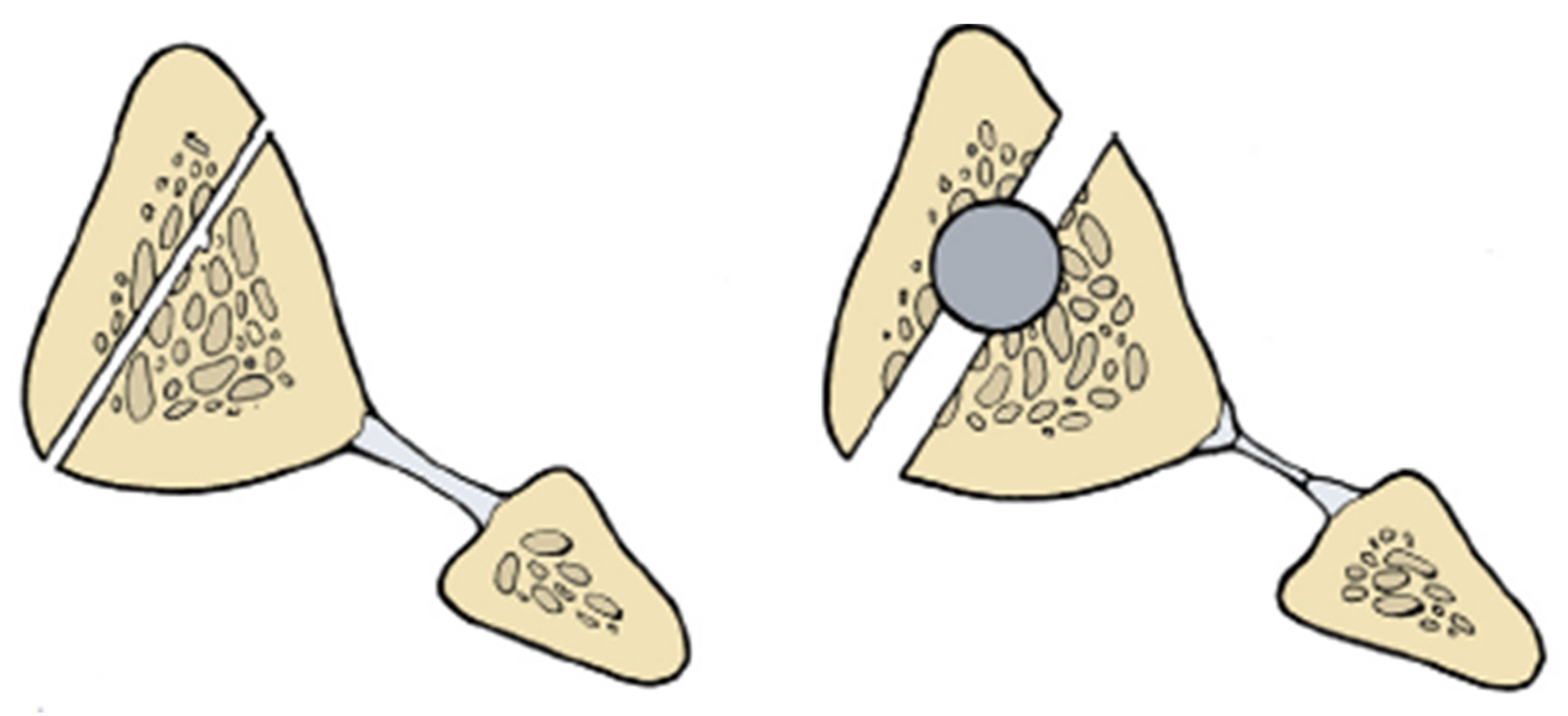 Medicina 57 00951 g003 550