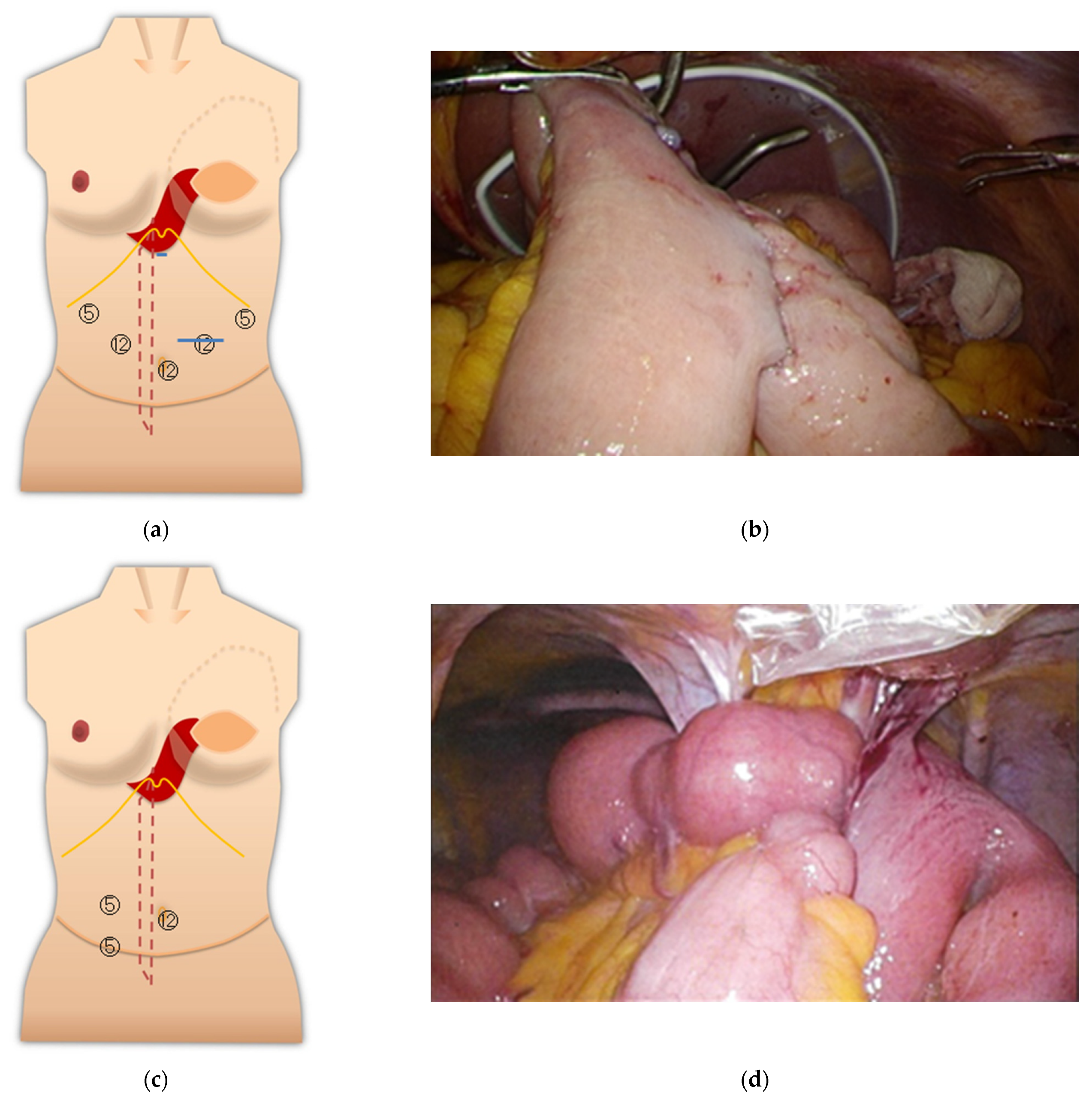 Medicina 57 00952 g004 550