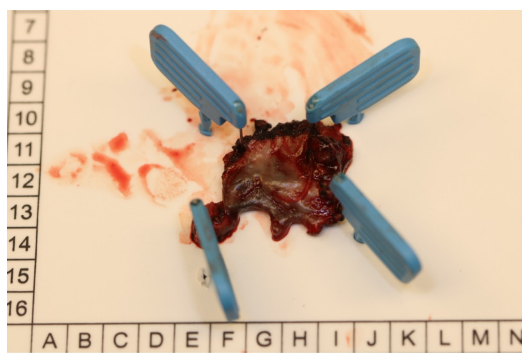 Medicina 57 00965 g003 550