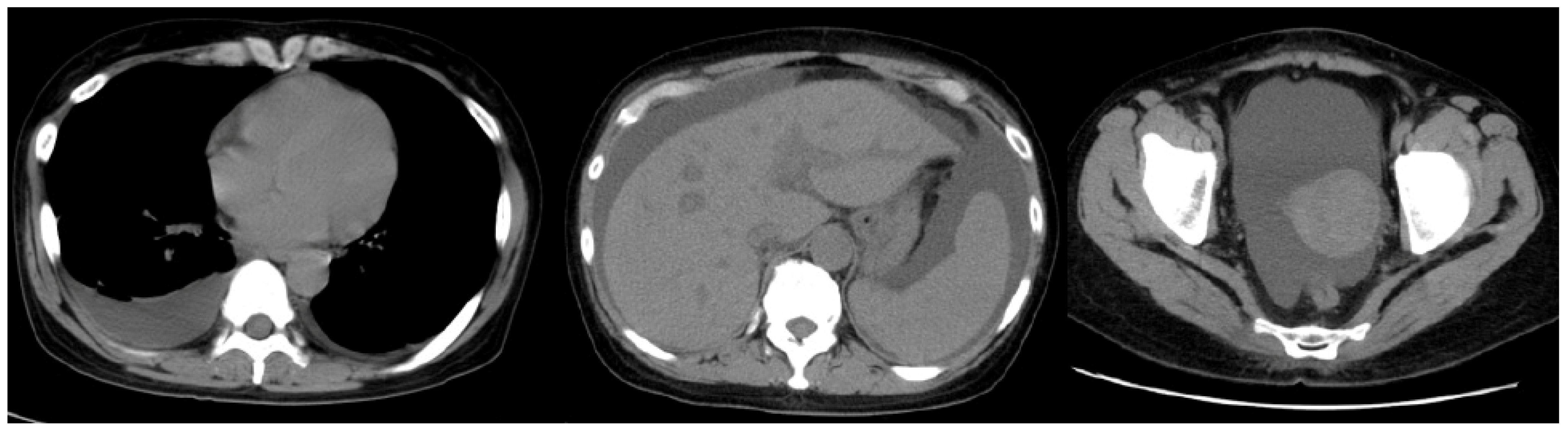 Medicina 57 00971 g001