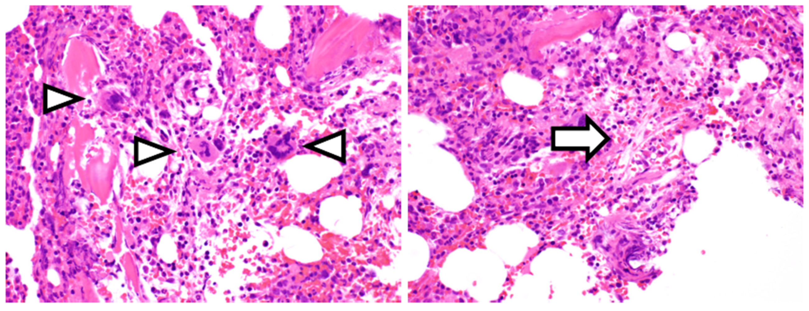 Medicina 57 00971 g002