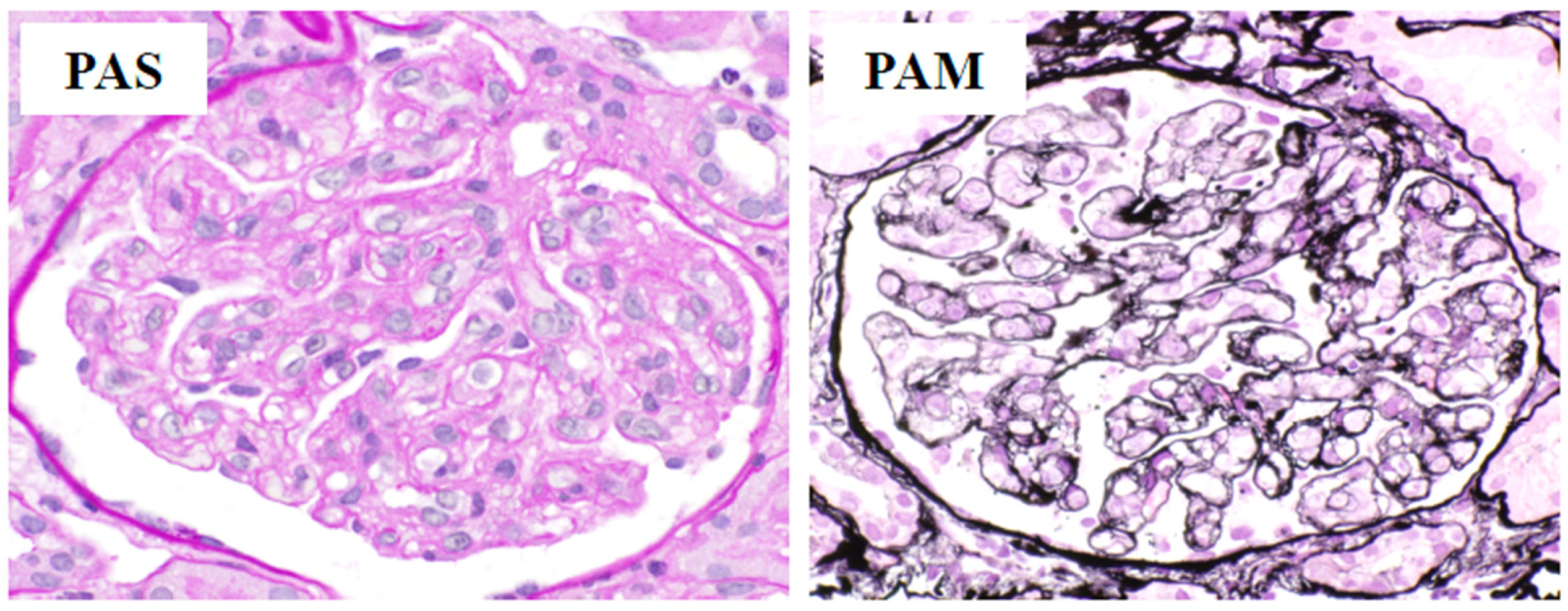Medicina 57 00971 g003