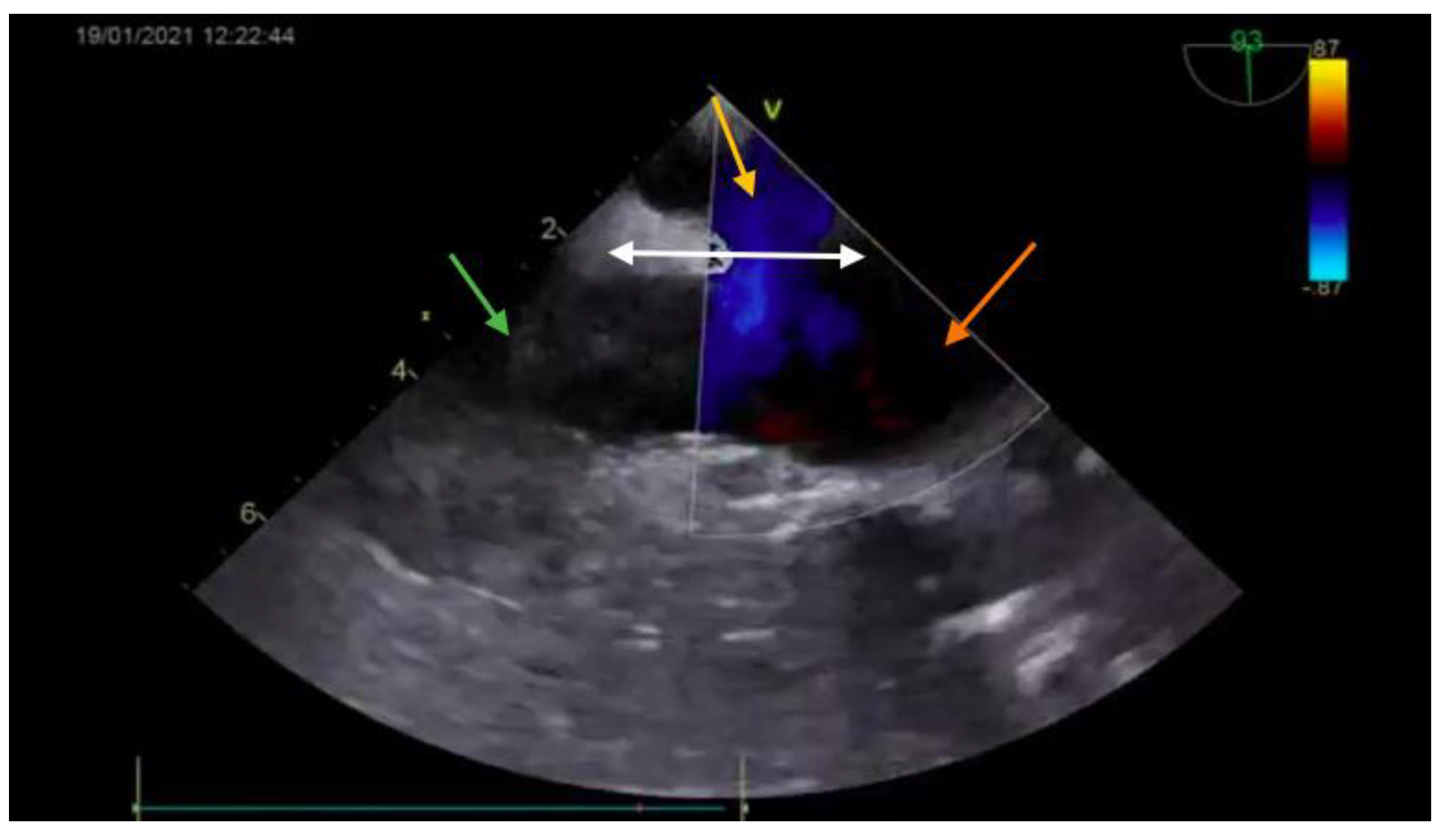 Medicina 57 00984 g001