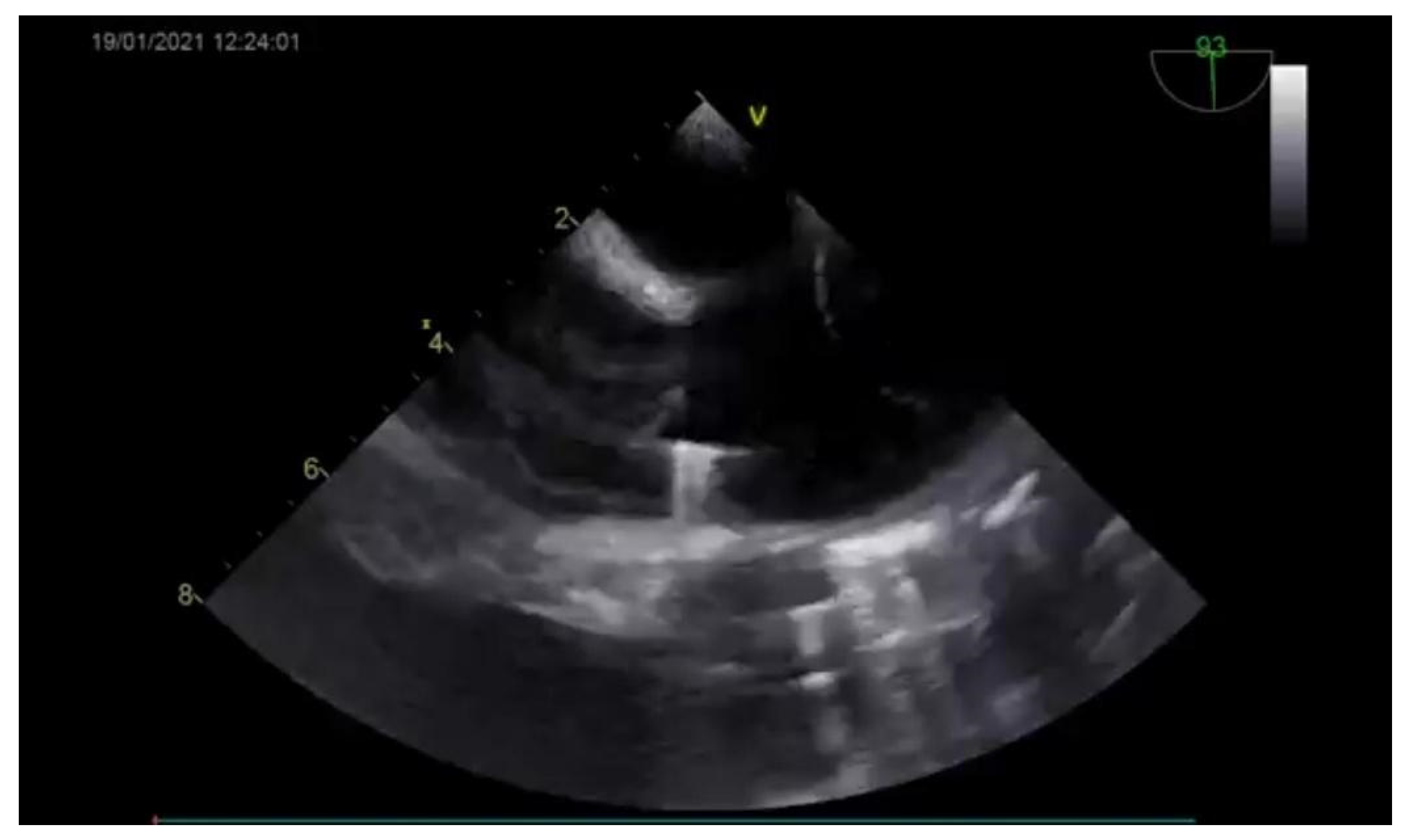 Medicina 57 00984 g002