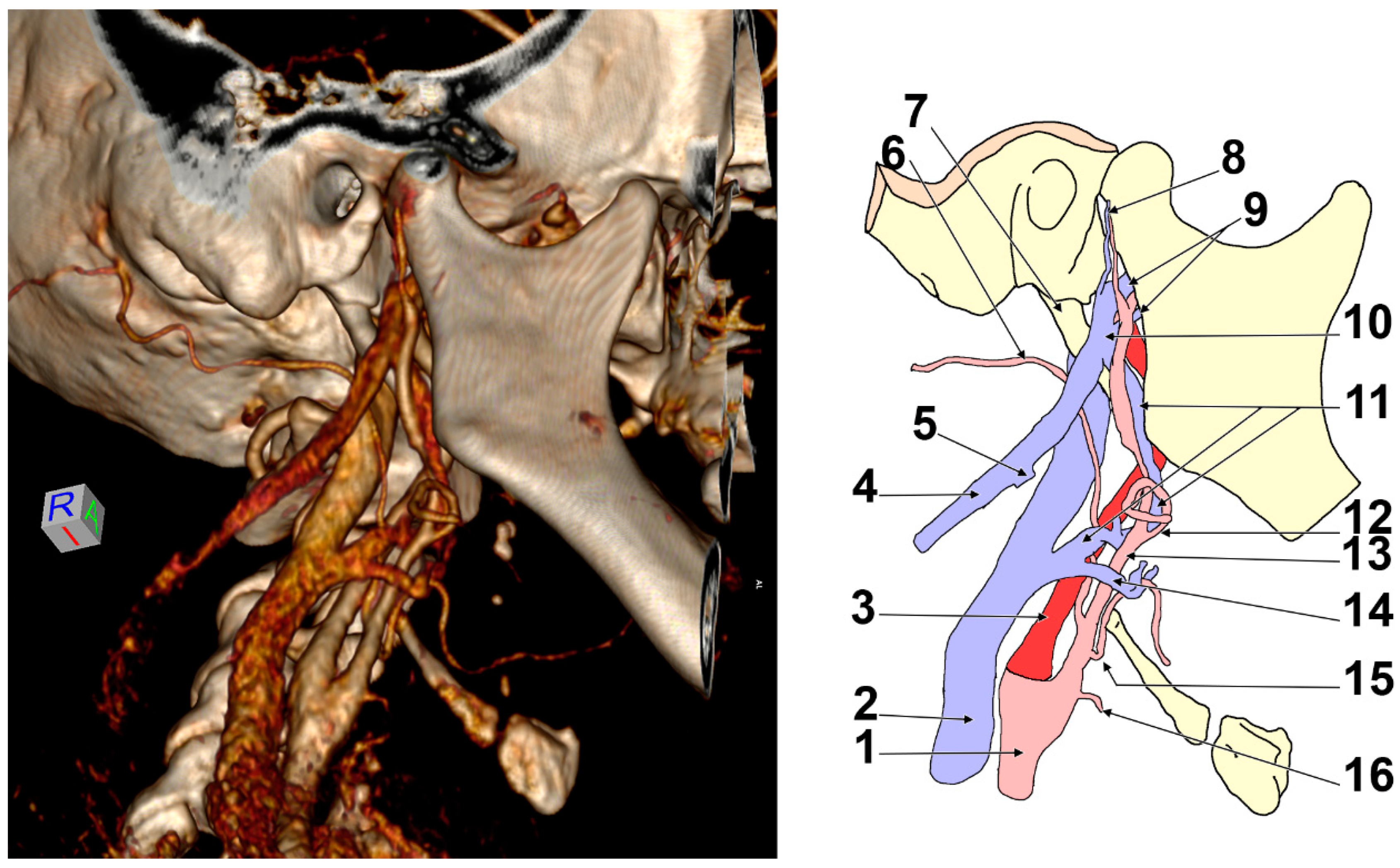 Medicina 57 00985 g002 550