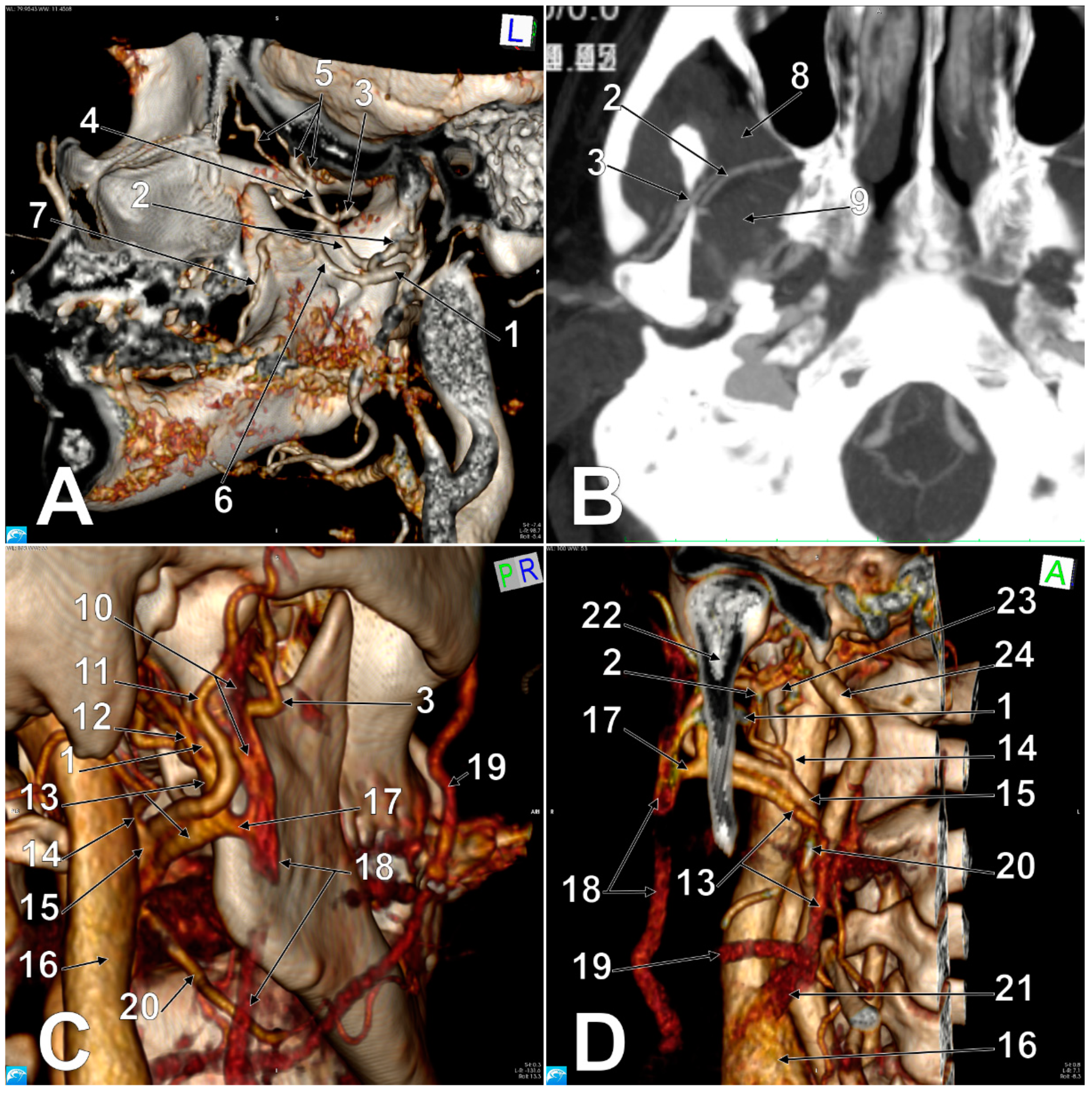 Medicina 57 00985 g004 550