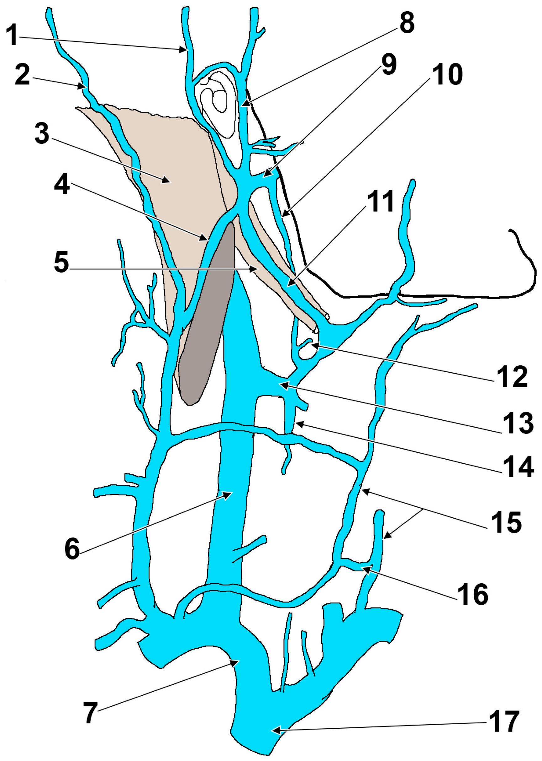 Medicina 57 00985 g006 550