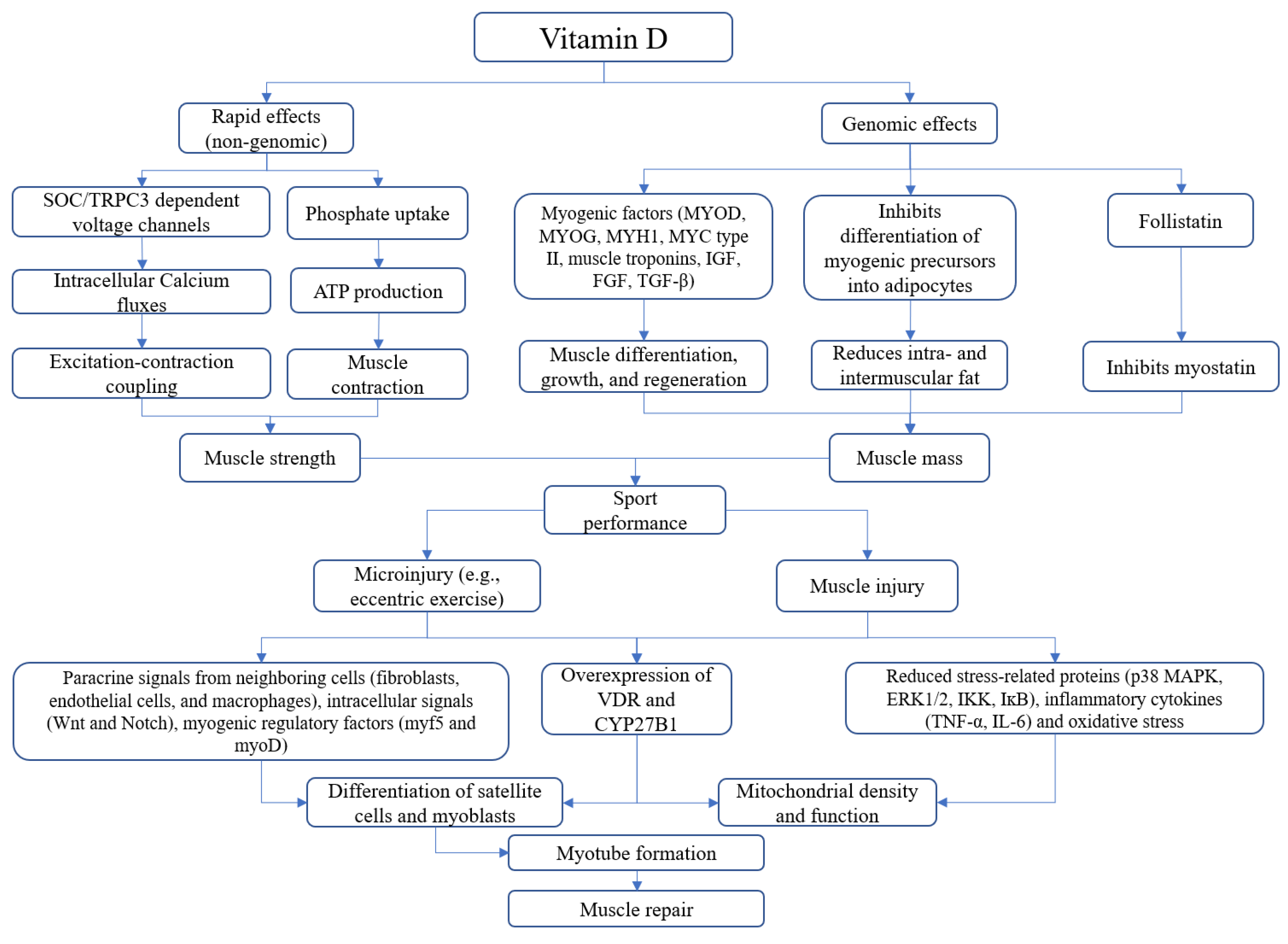 Medicina 57 01015 g001 550