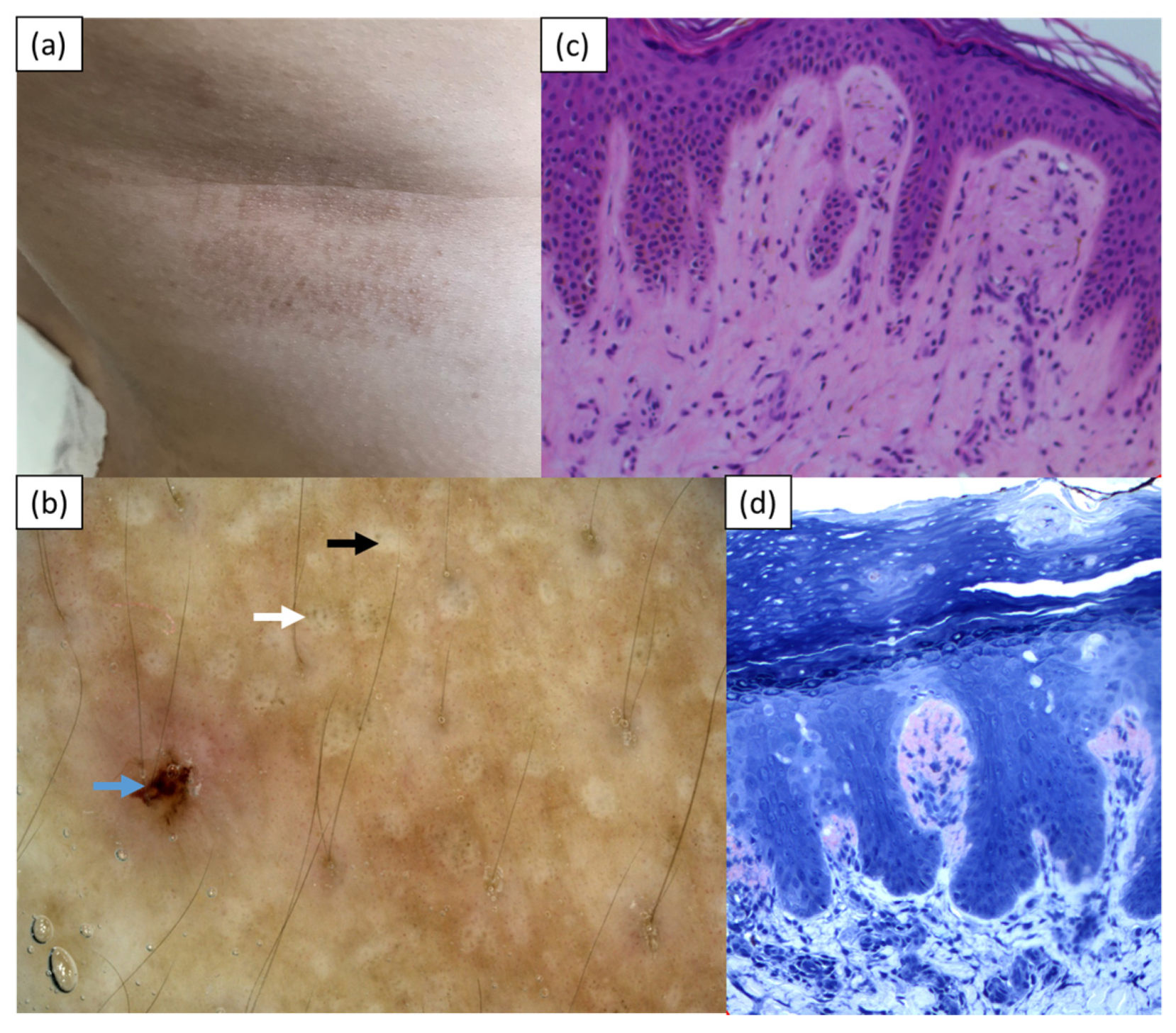 Medicina 57 01027 g001 550