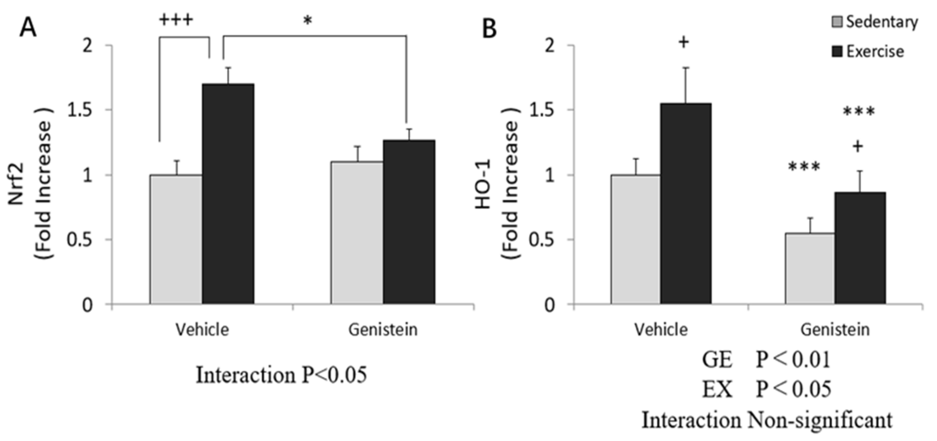 Medicina 57 01028 g005 Medicina 57 01028 g005