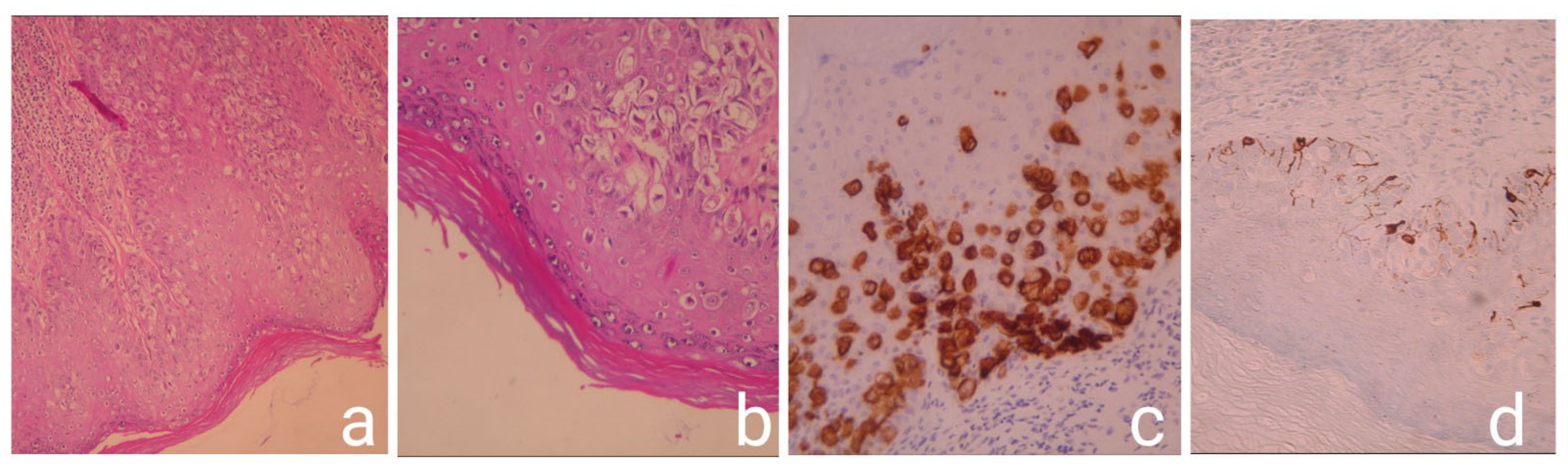 Medicina 57 01029 g004 550