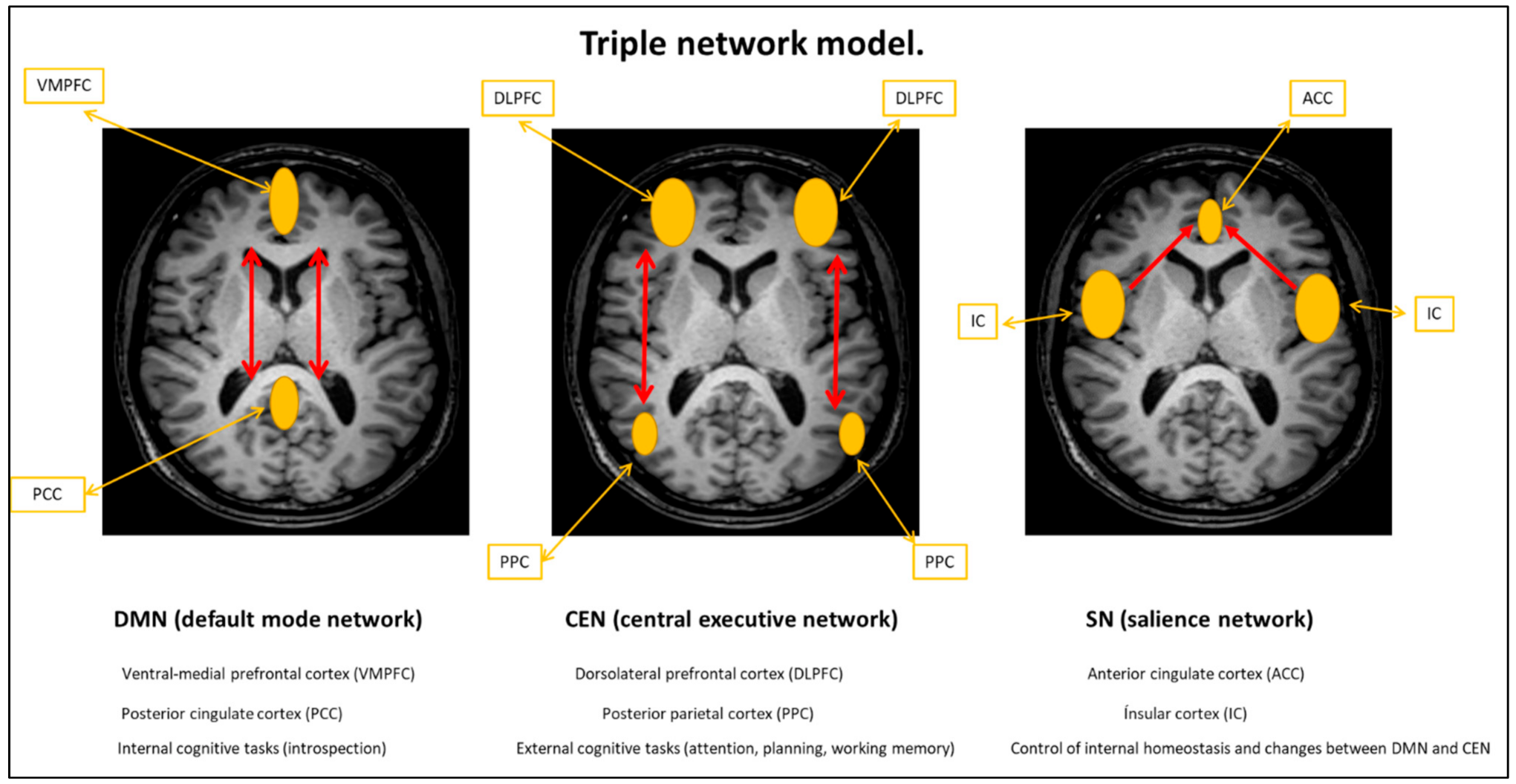 Medicina 57 01030 g001