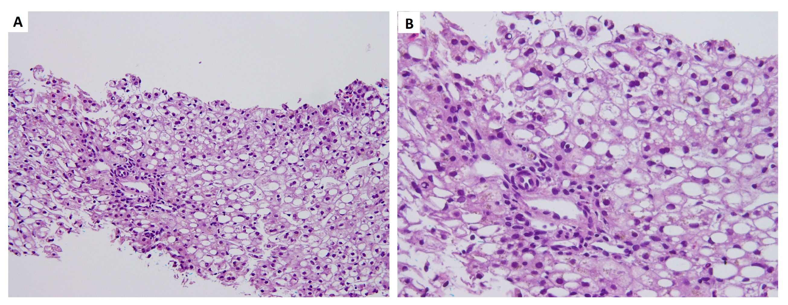 Medicina 57 01032 g002 550