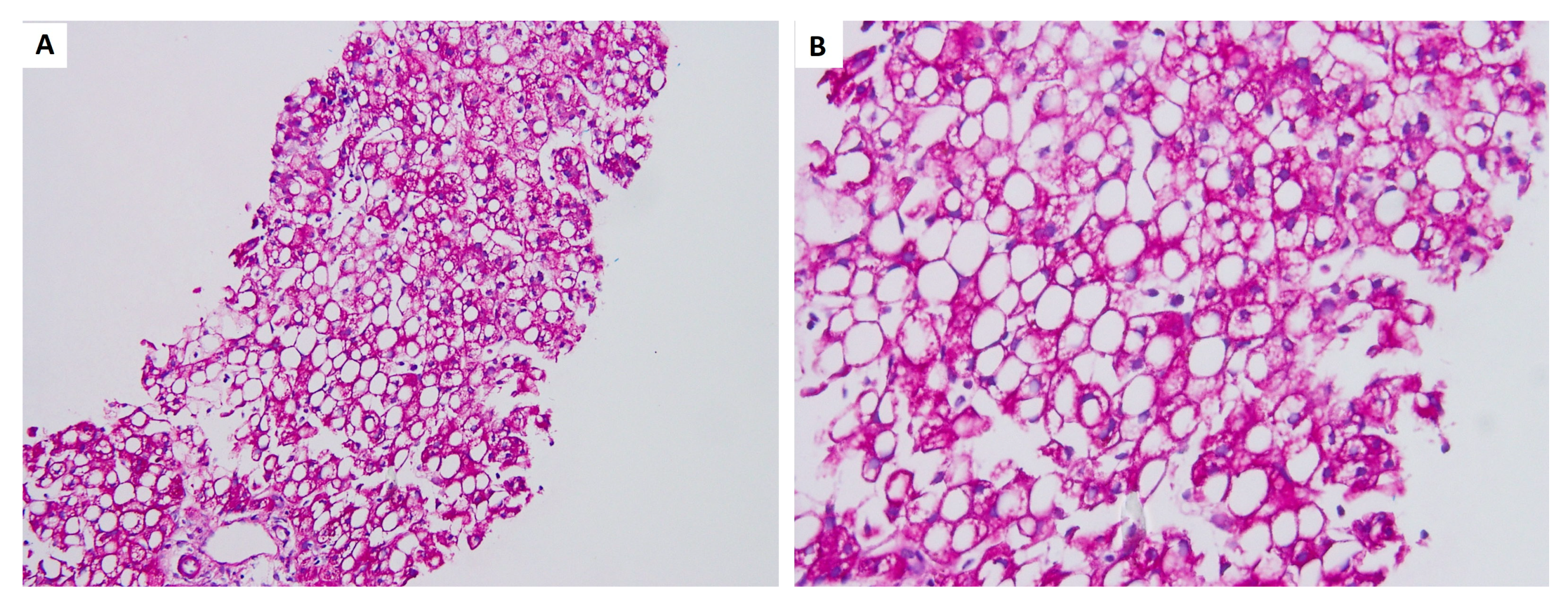 Medicina 57 01032 g003 550