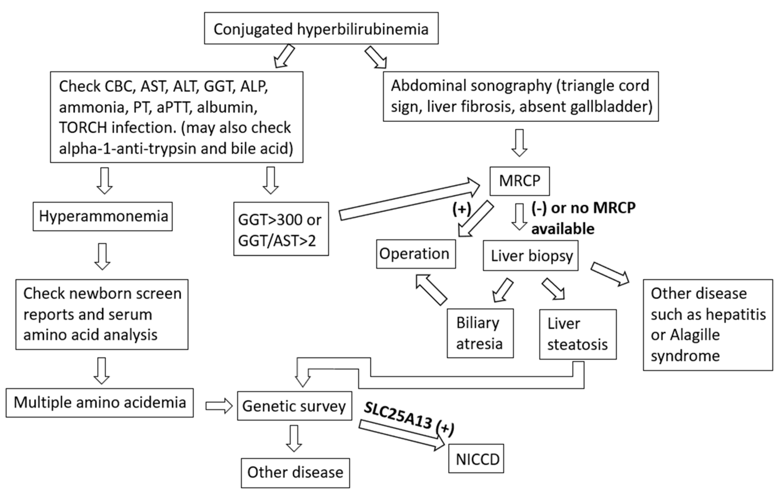Medicina 57 01032 g005 550