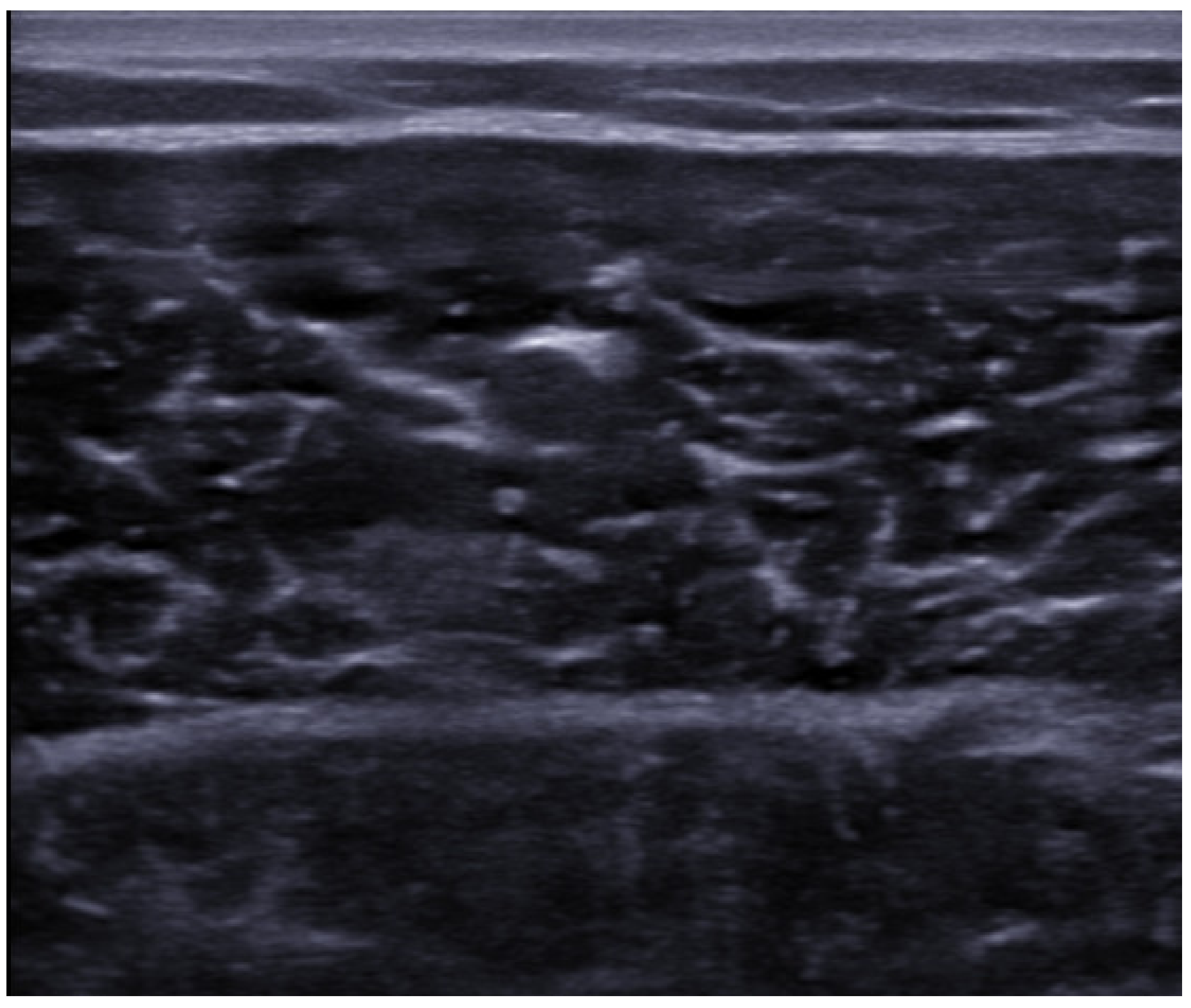 Medicina 57 01040 g002