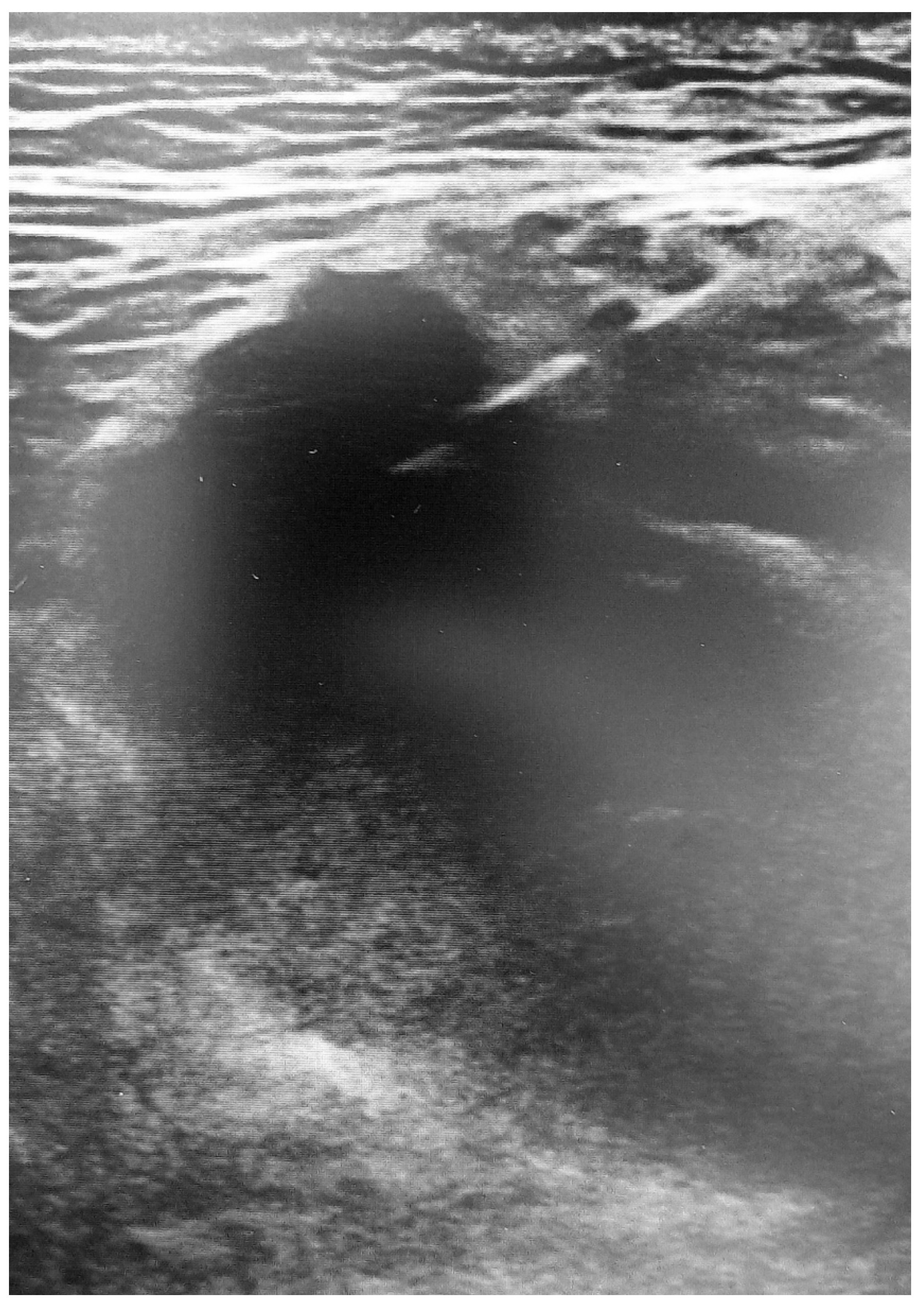 Medicina 57 01040 g005