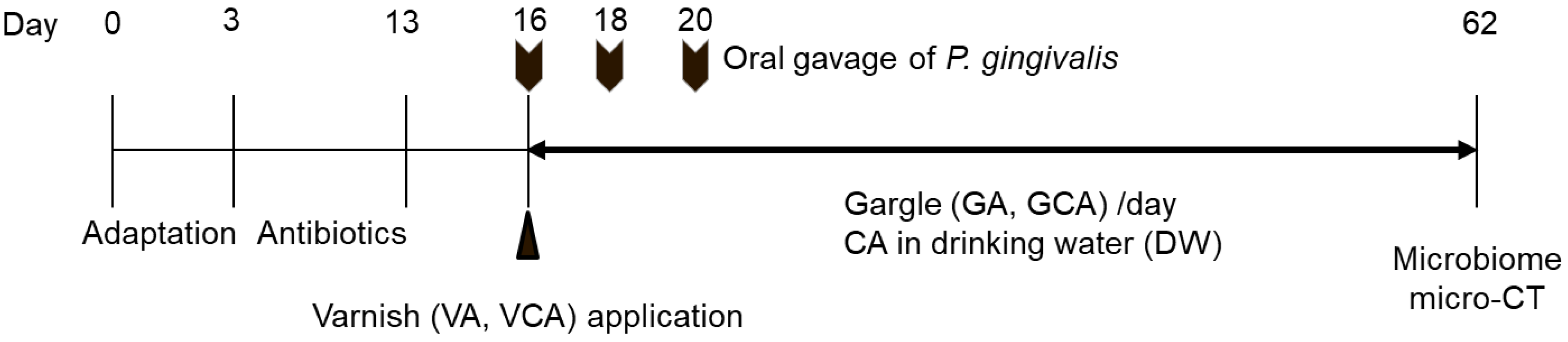 Medicina 57 01054 g001